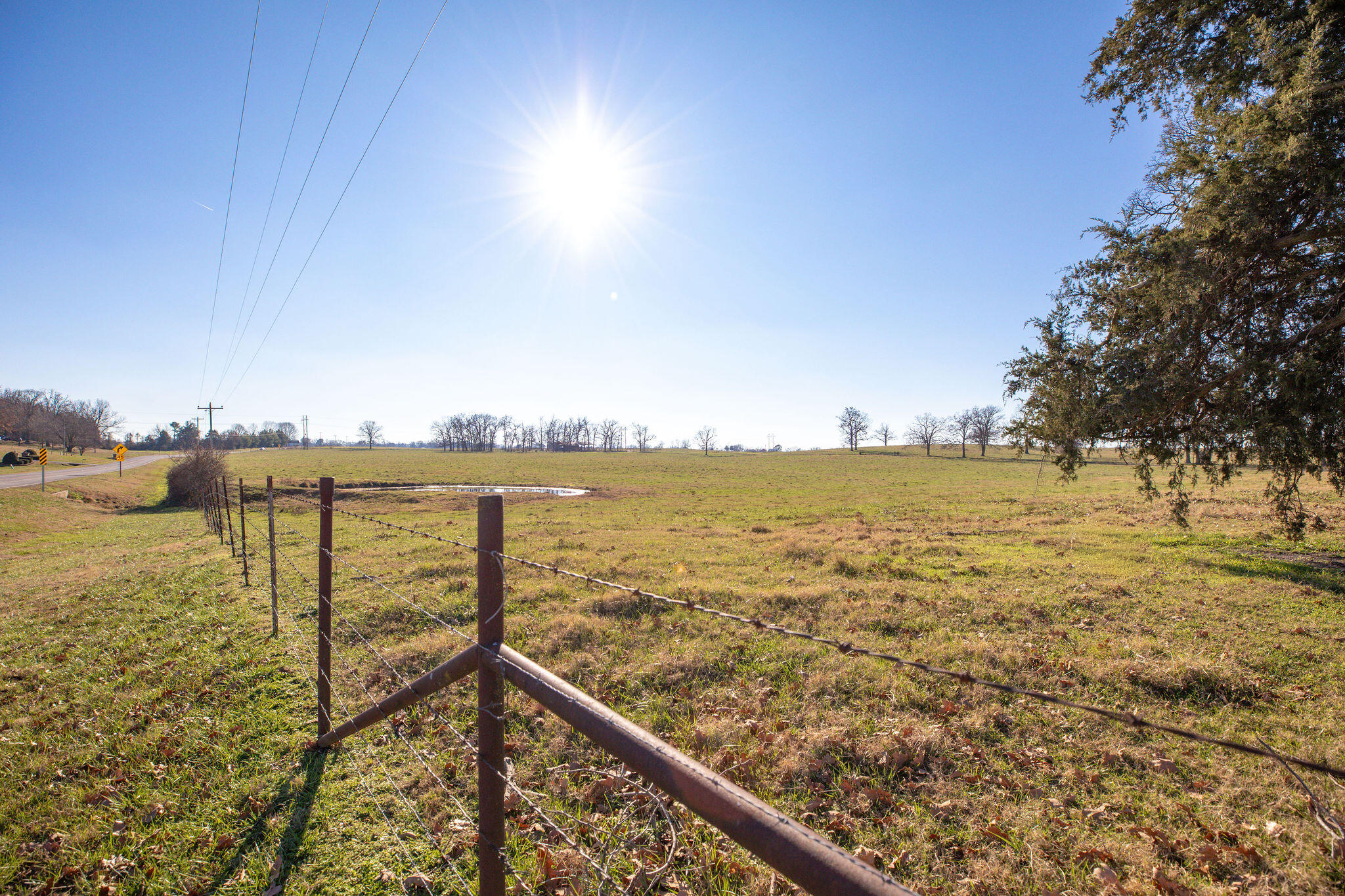 Photo 3 - Farm for sale – Tbd  Honeysuckle & County Road 433   Oak Grove, AR