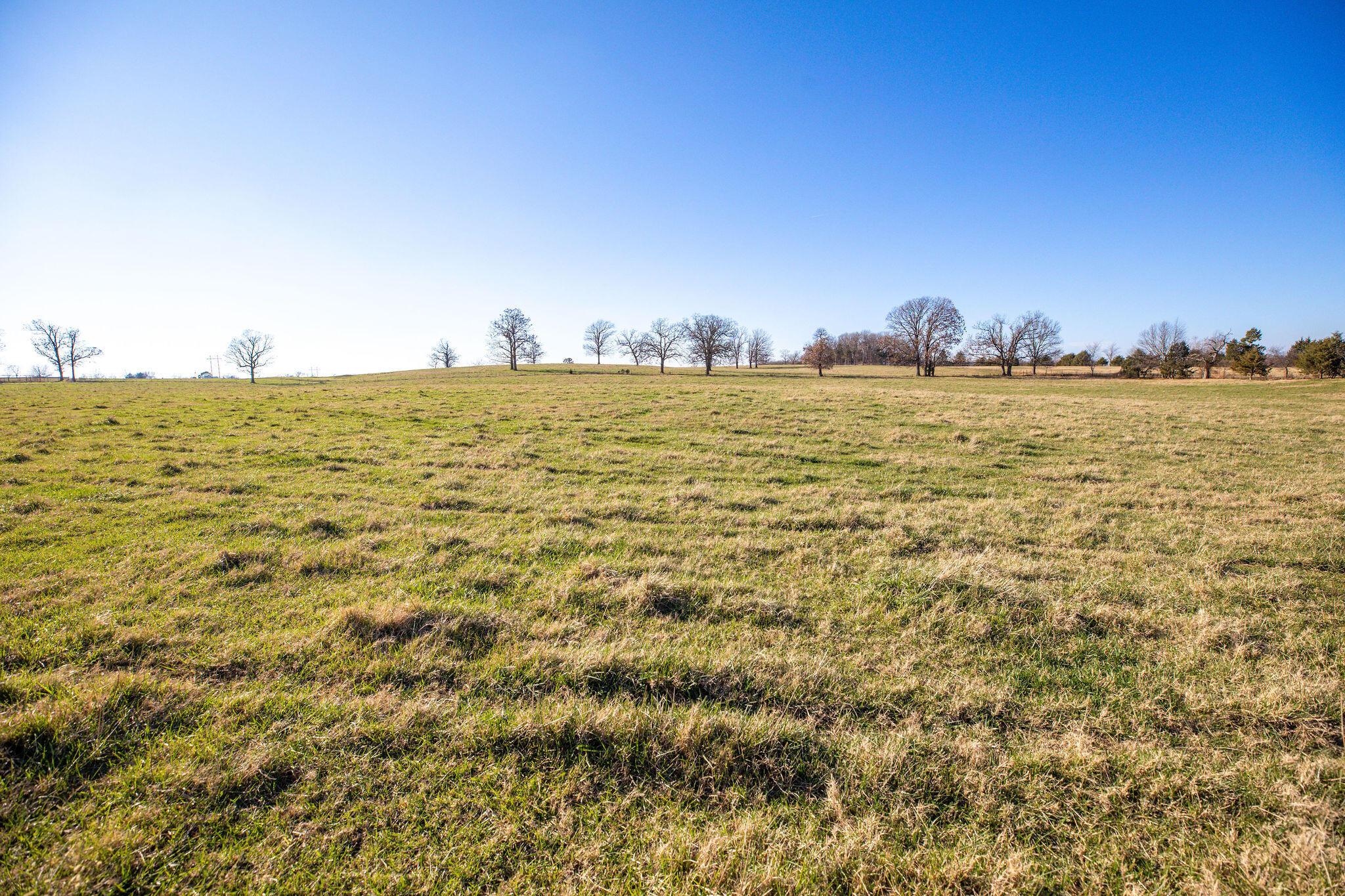 Photo 11 - Farm for sale – Tbd  Honeysuckle & County Road 433   Oak Grove, AR