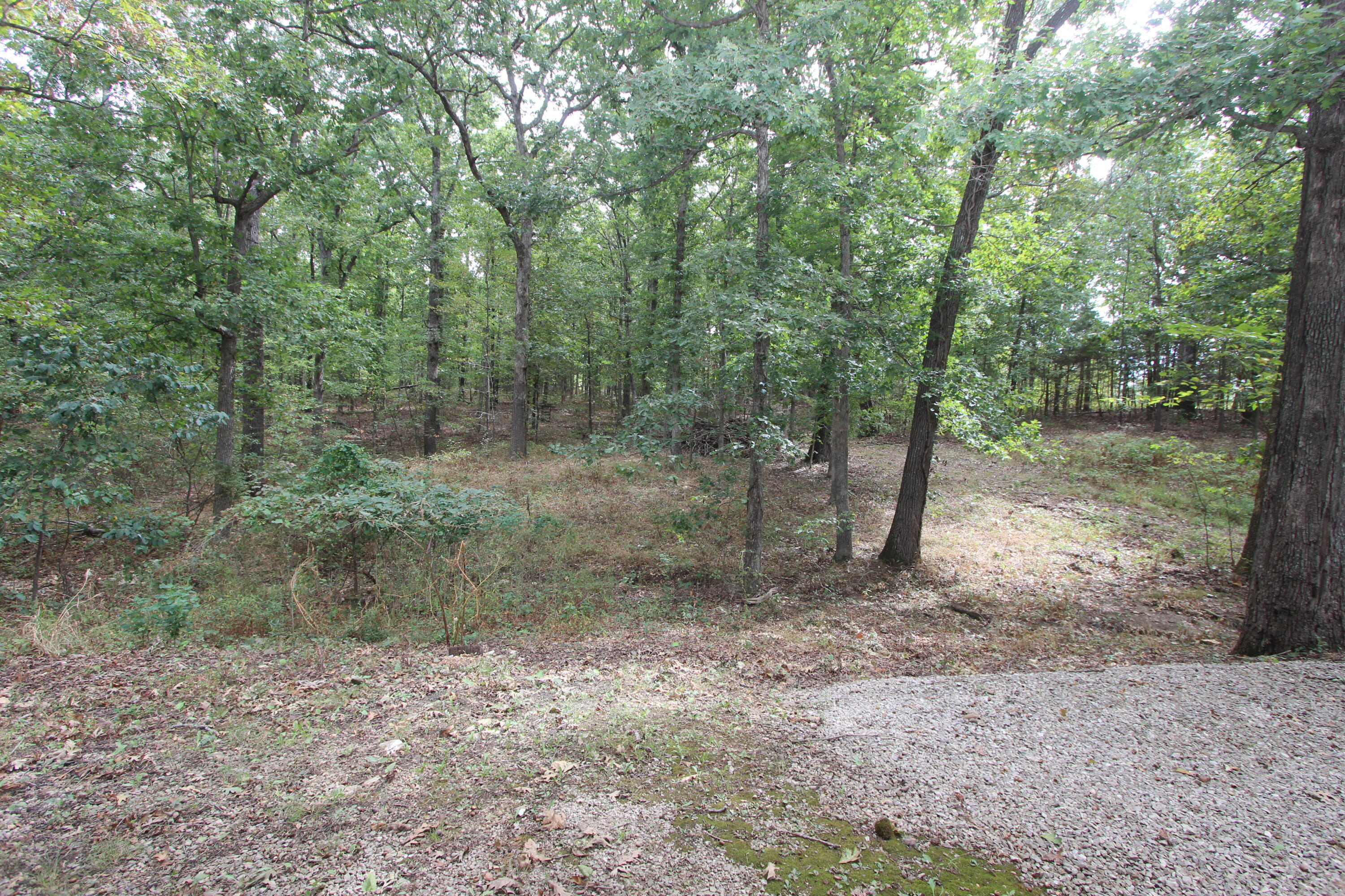 Photo 34 - Residential for sale – 288  Pleasant View Road  Seymour, MO