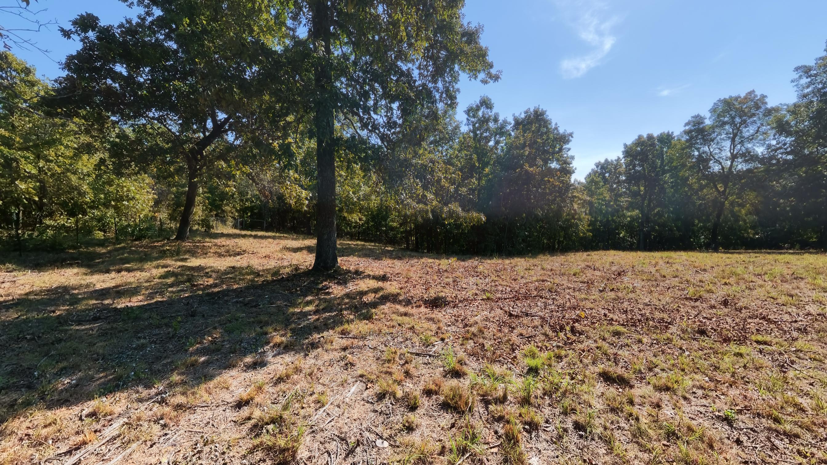 Photo 49 - Residential for sale – 7061  County Road 9580   West Plains, MO