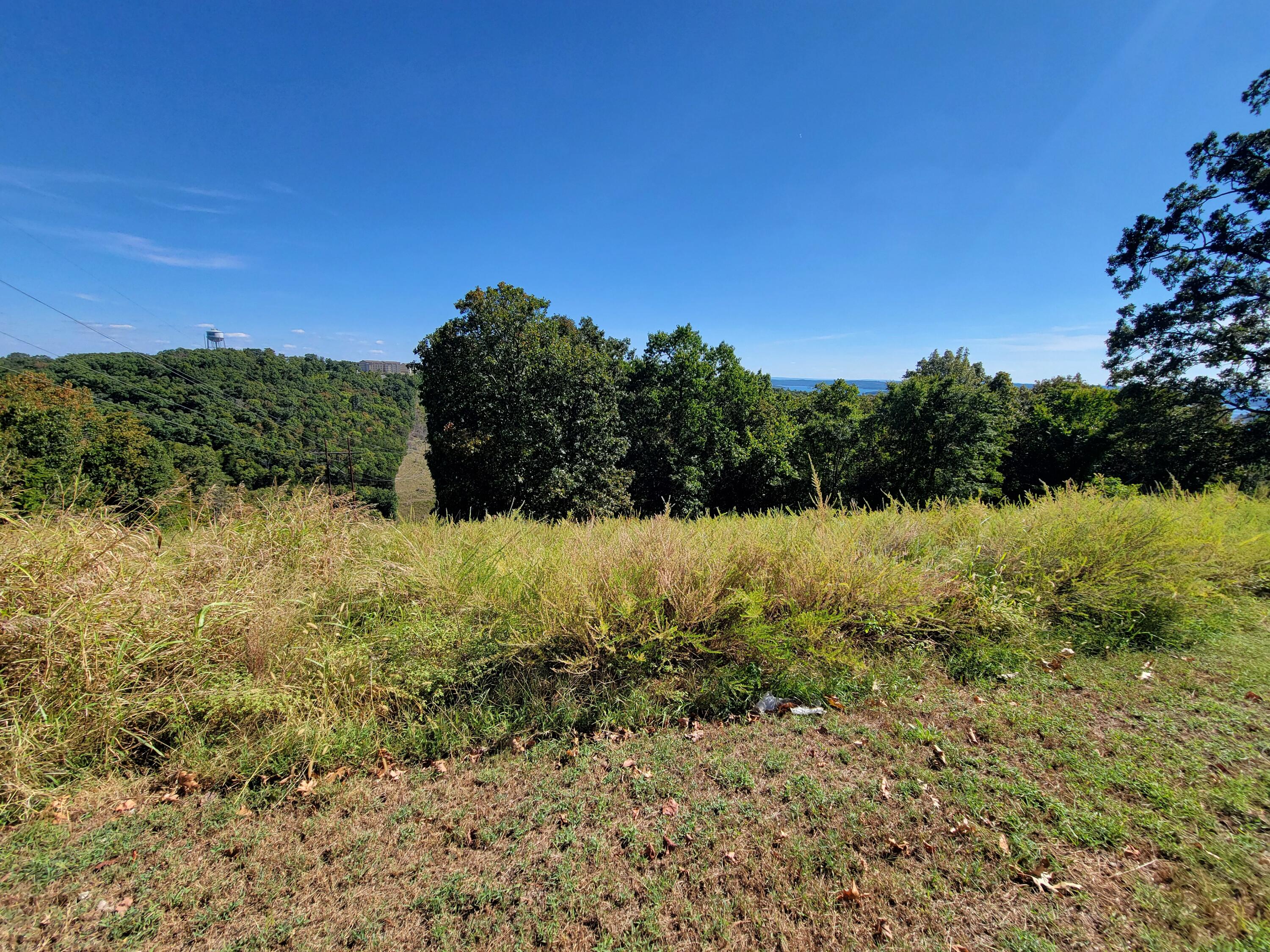 Photo 4 - Land for sale – Lot 21  Compton Ridge Road   Branson, MO