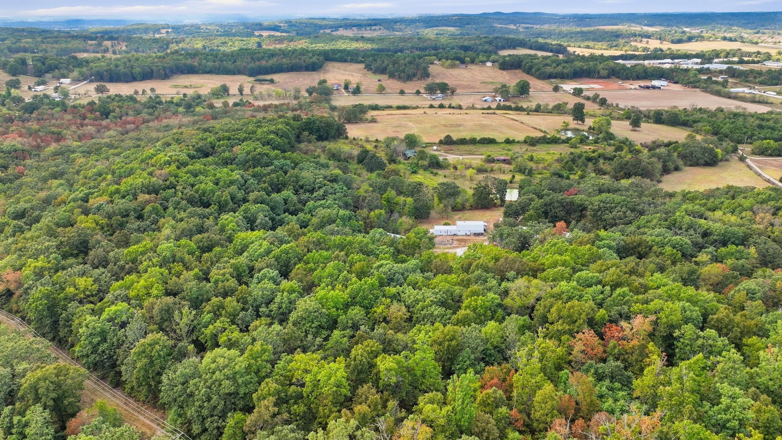 Photo 17 - Farm for sale – 1804  Bluebird Road  Cabool, MO