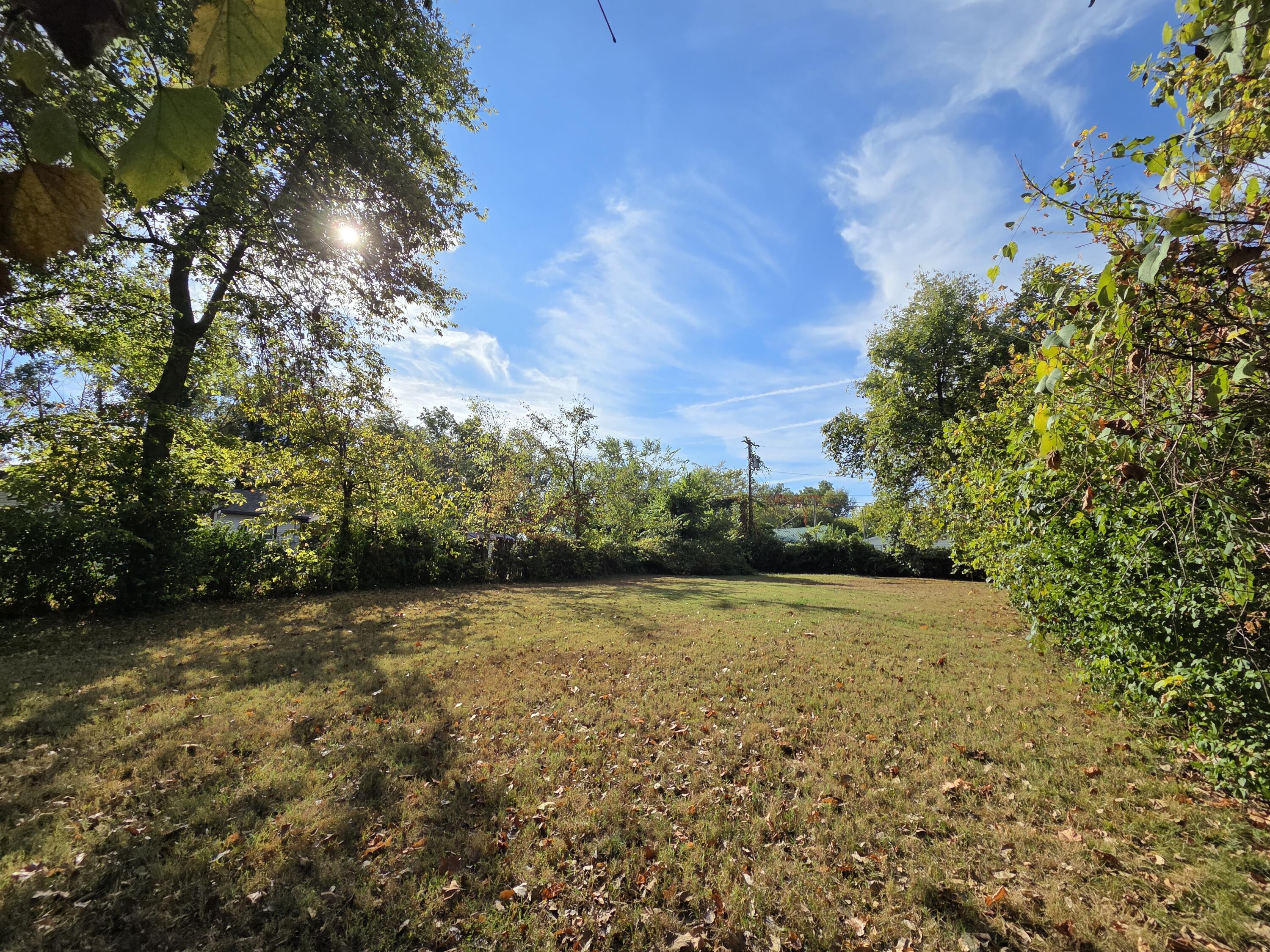 Photo 6 - Land for sale – 2736 W Olive Street  Springfield, MO