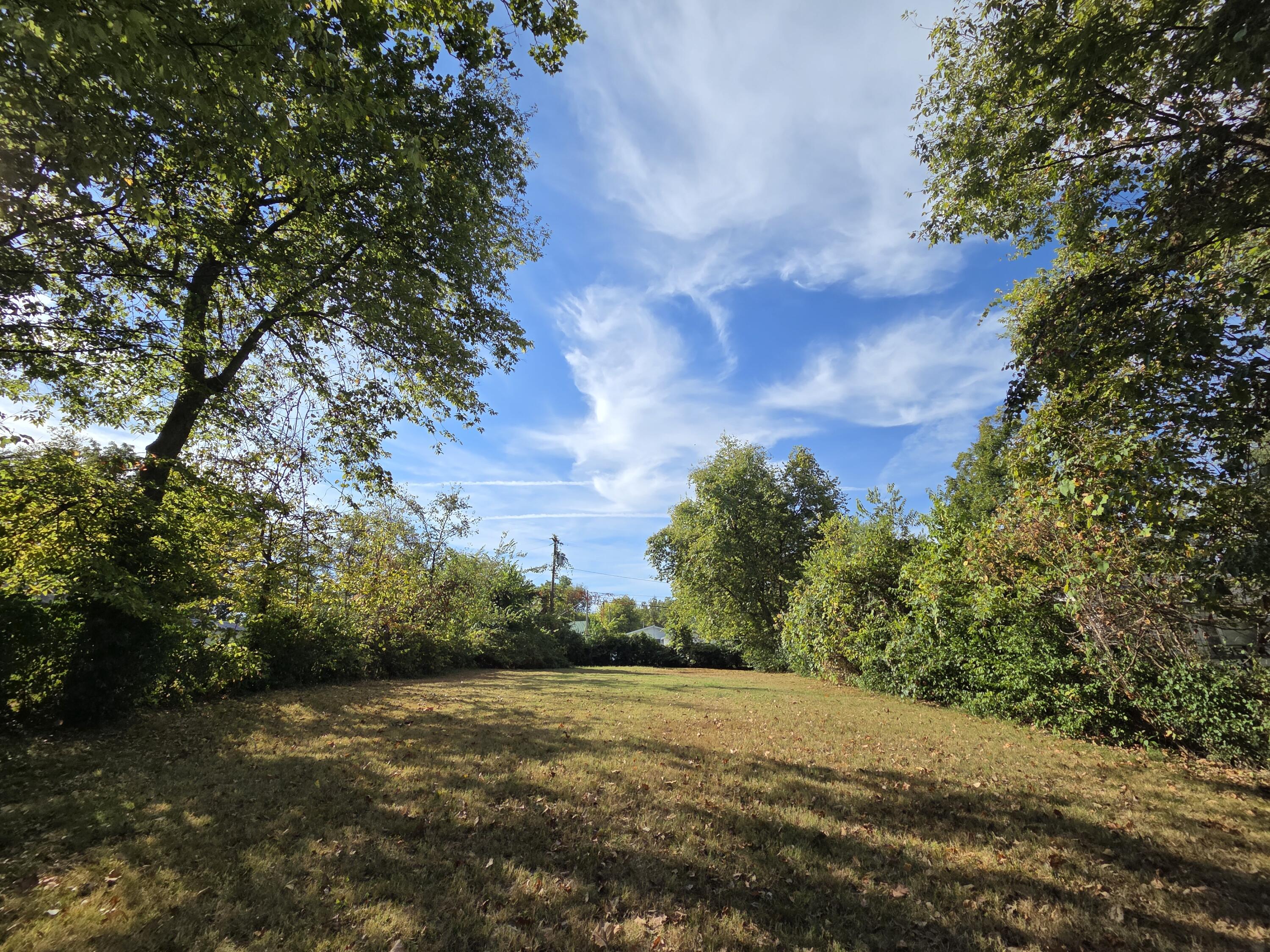 Photo 7 - Land for sale – 2736 W Olive Street  Springfield, MO