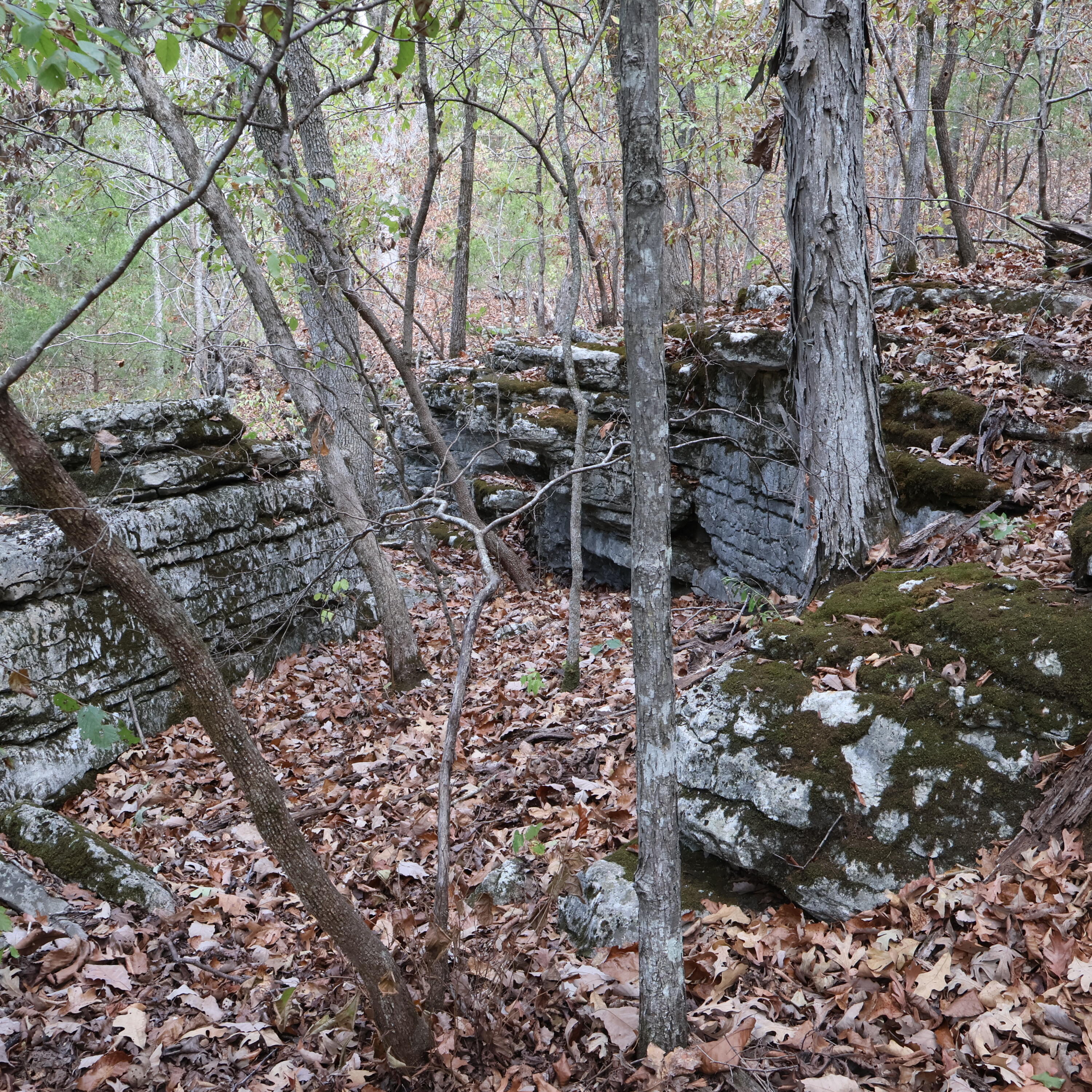 Photo 35 - Land for sale – 0000  Farm Road 1245   Aurora, MO