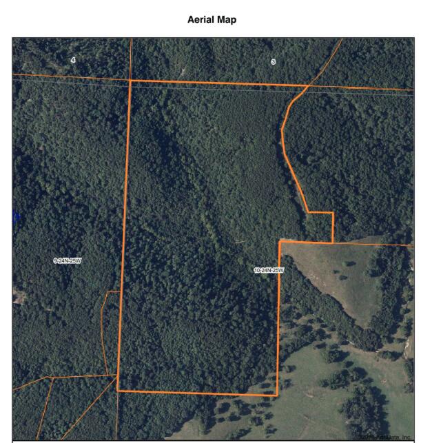 Photo 2 - Land for sale – 0000  Farm Road 1245   Aurora, MO