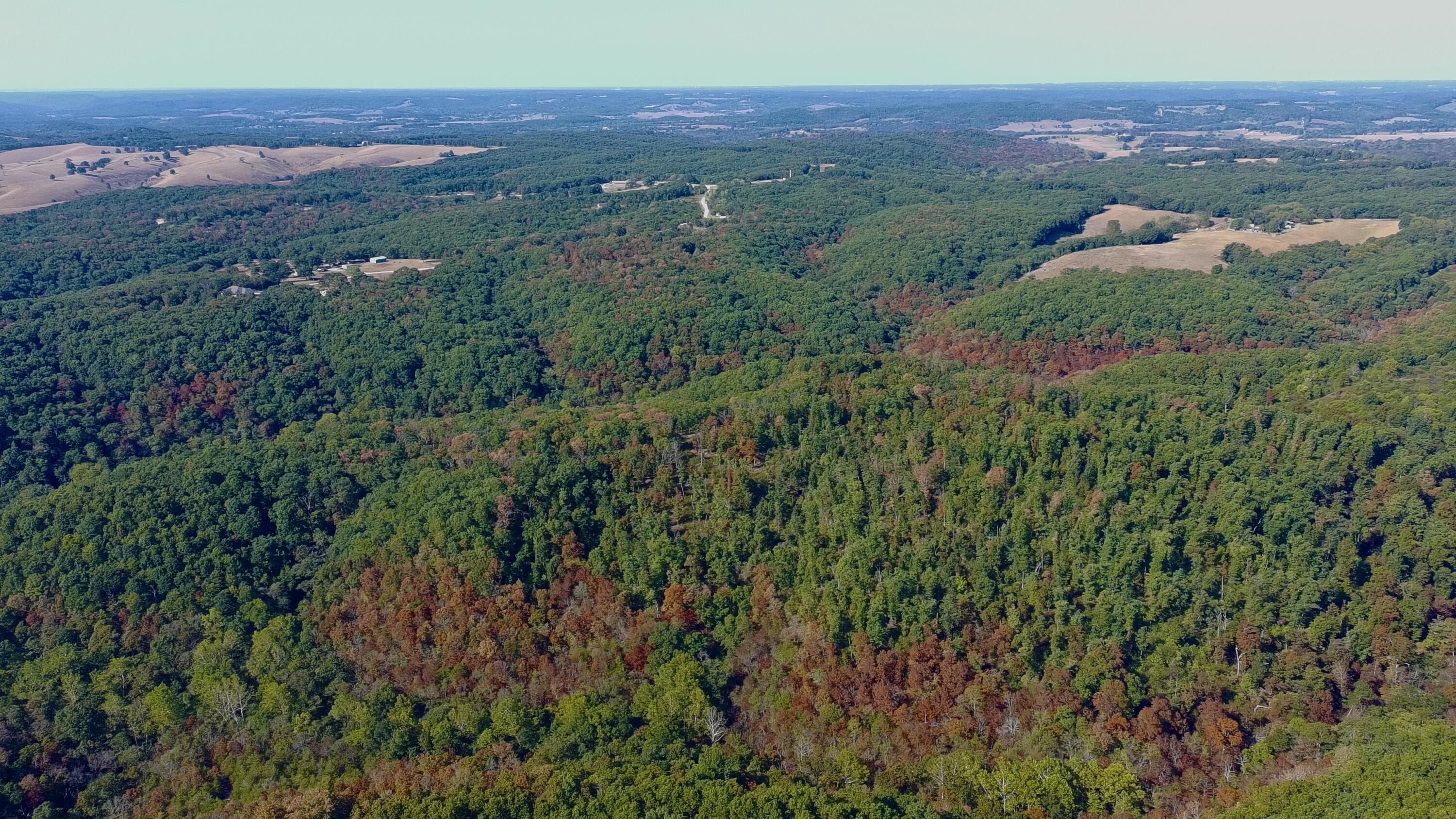 Photo 14 - Land for sale – 0000  Farm Road 1245   Aurora, MO