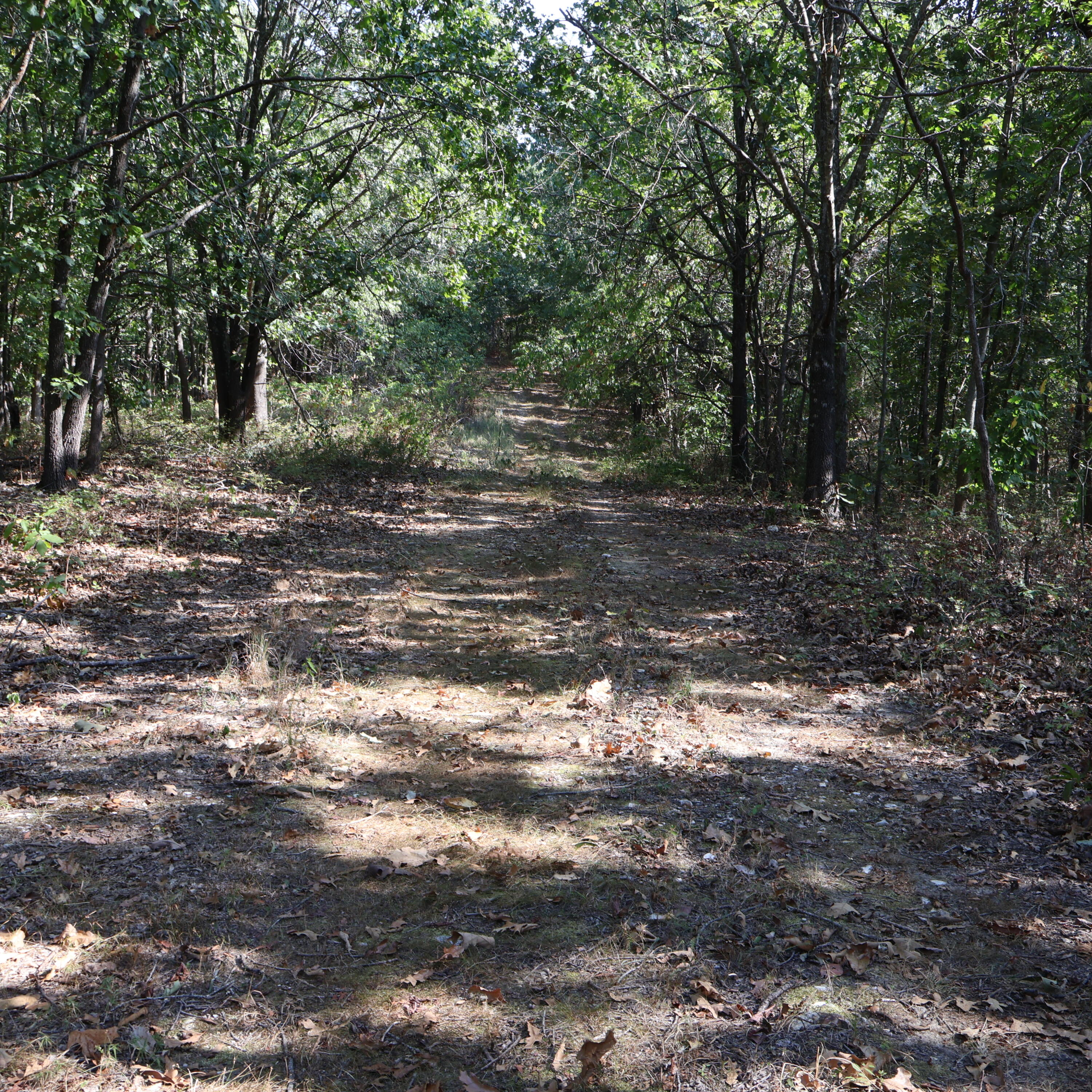 Photo 22 - Land for sale – 0000  Farm Road 1245   Aurora, MO