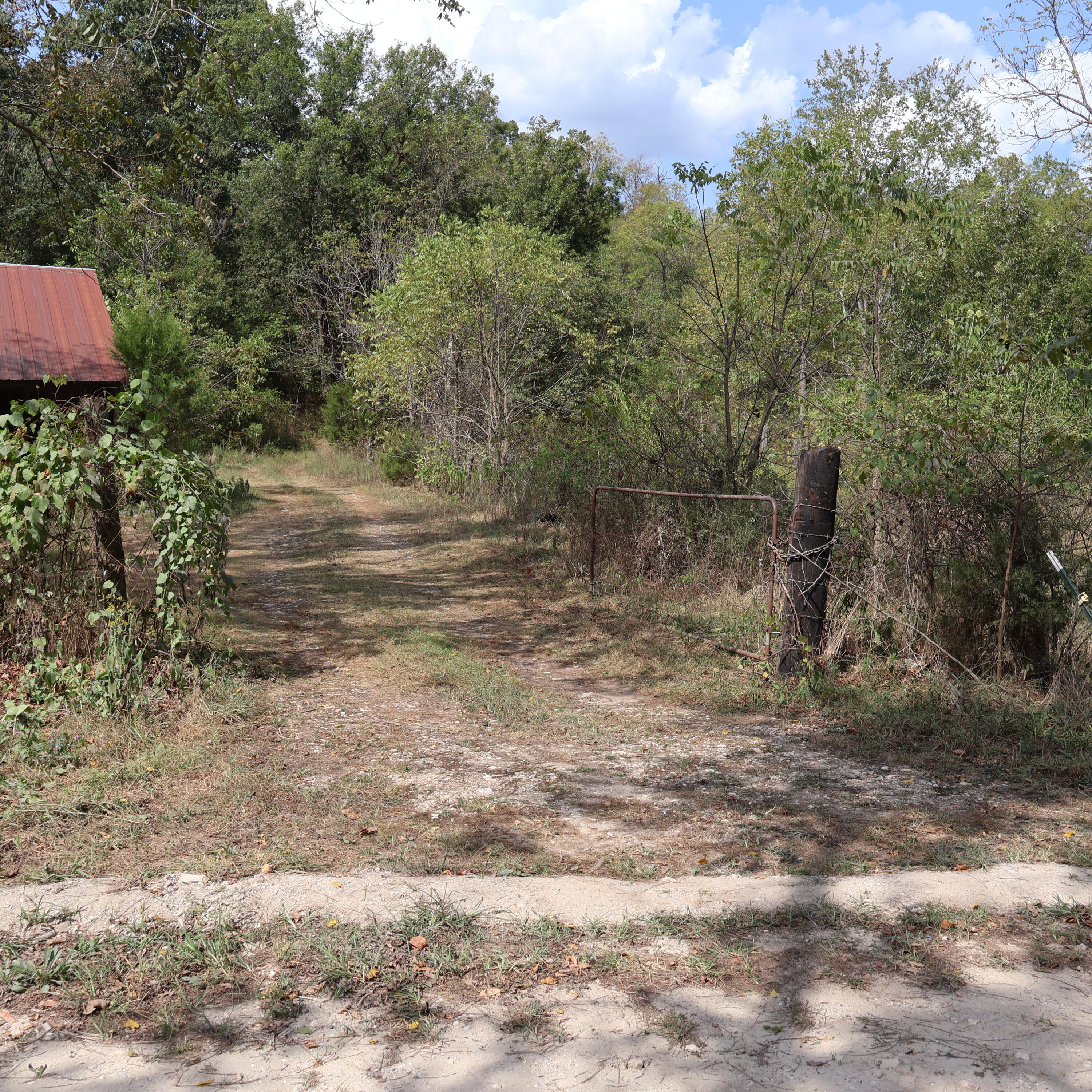 Photo 3 - Land for sale – 0000  Farm Road 1245   Aurora, MO