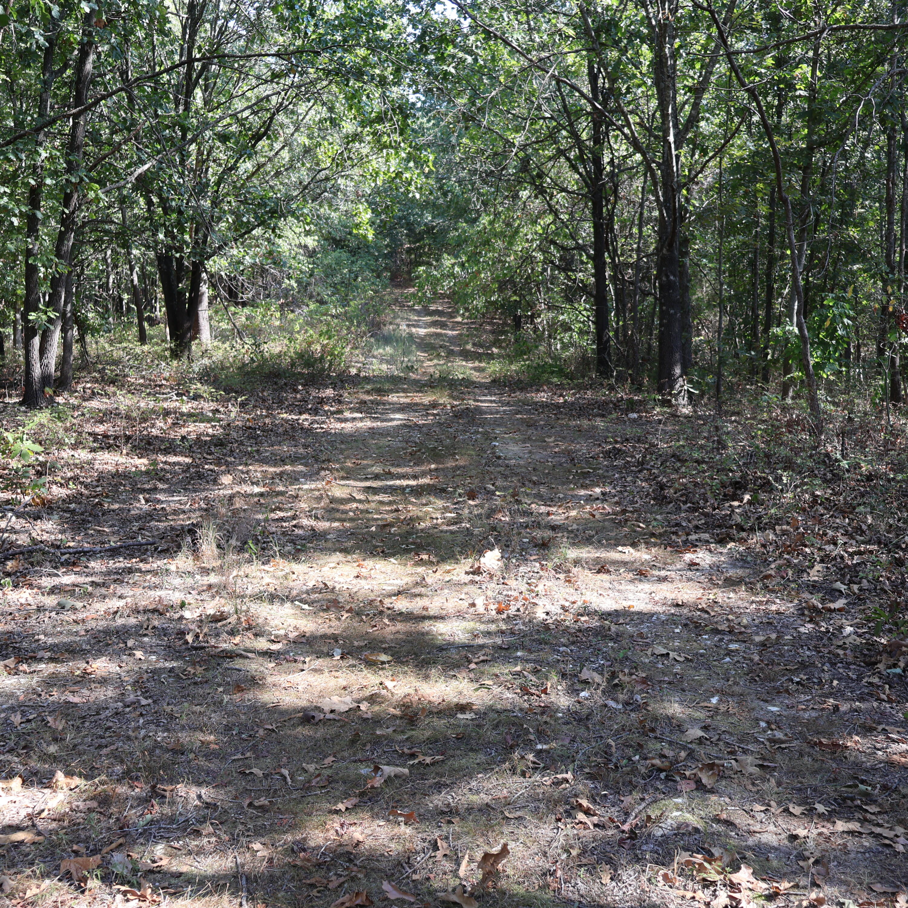 Photo 21 - Land for sale – 0000  Farm Road 1245   Aurora, MO