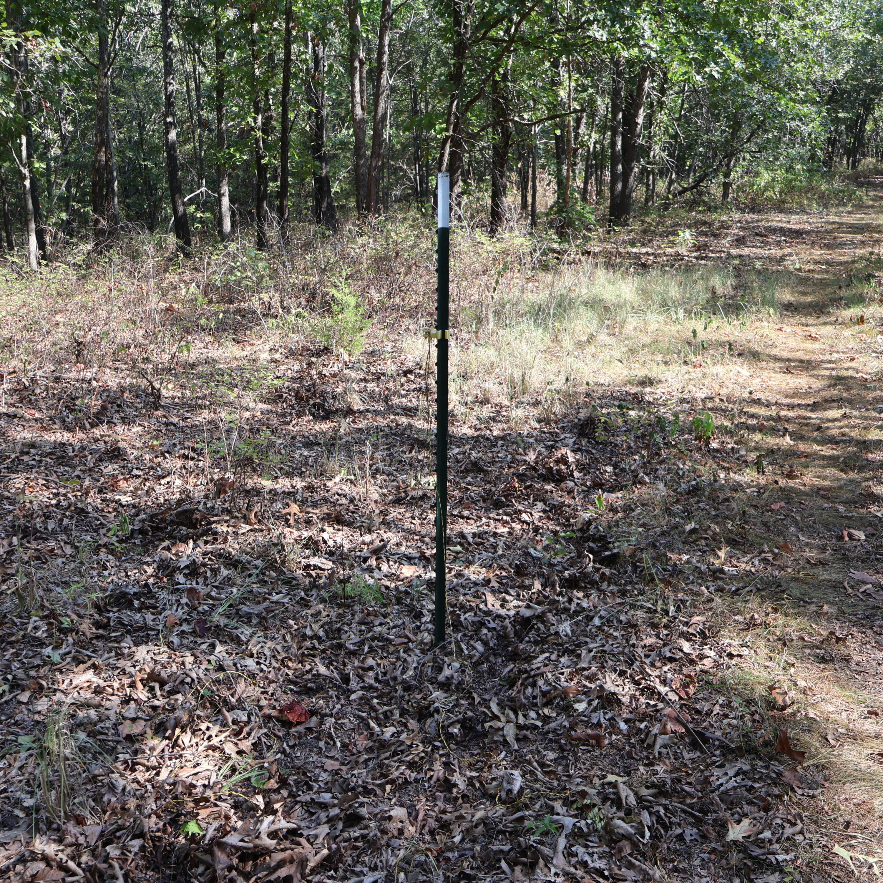 Photo 20 - Land for sale – 0000  Farm Road 1245   Aurora, MO