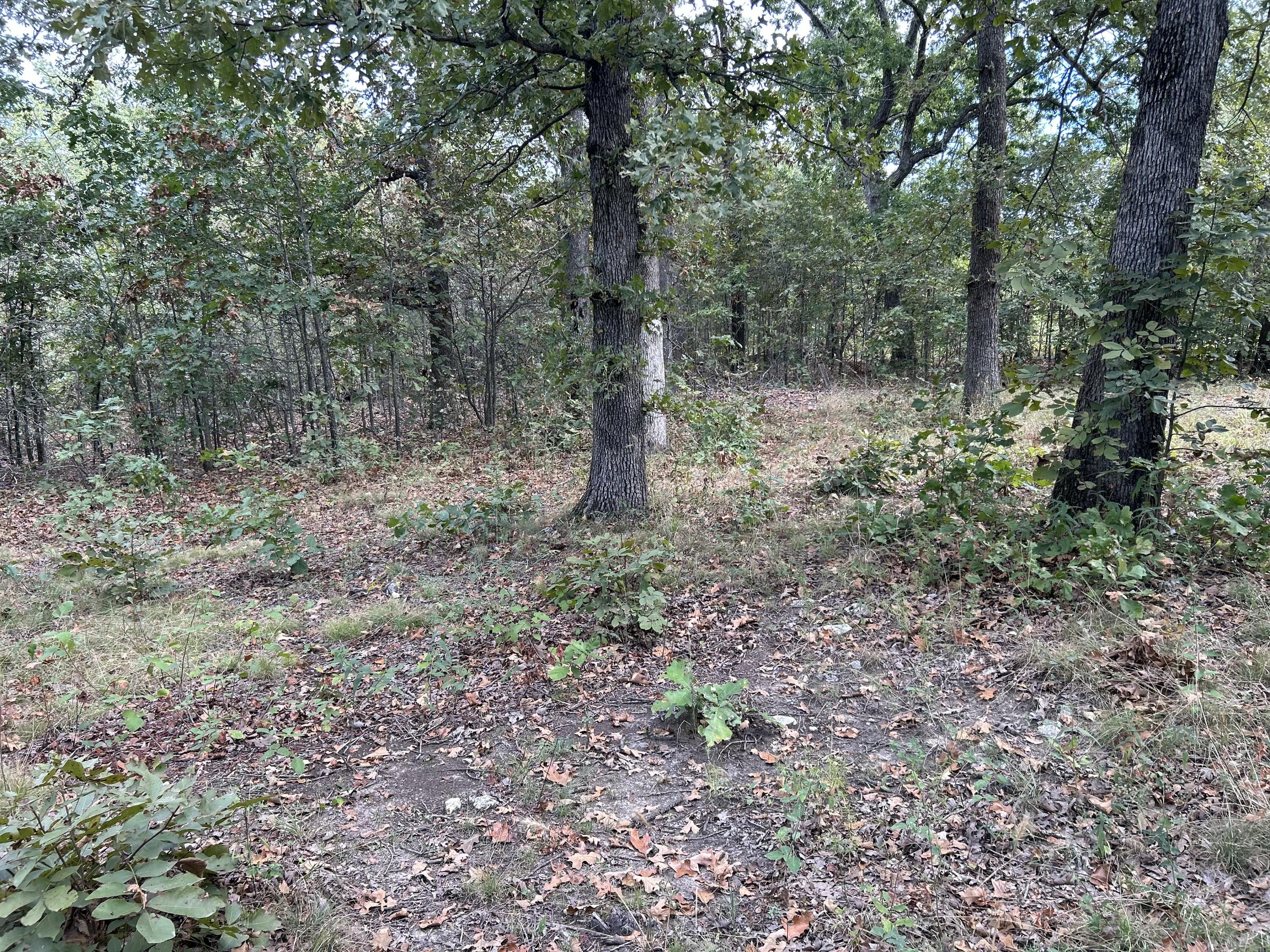 Photo 4 - Residential for sale – 895  Partridge Drive  Climax Springs, MO