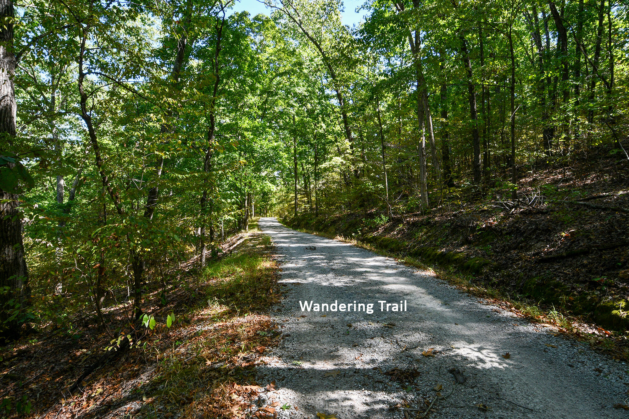 Photo 7 - Land for sale – 000  Wandering Trail  Galena, MO
