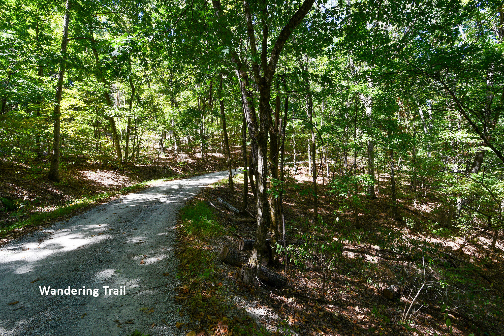 Photo 6 - Land for sale – 000  Wandering Trail  Galena, MO