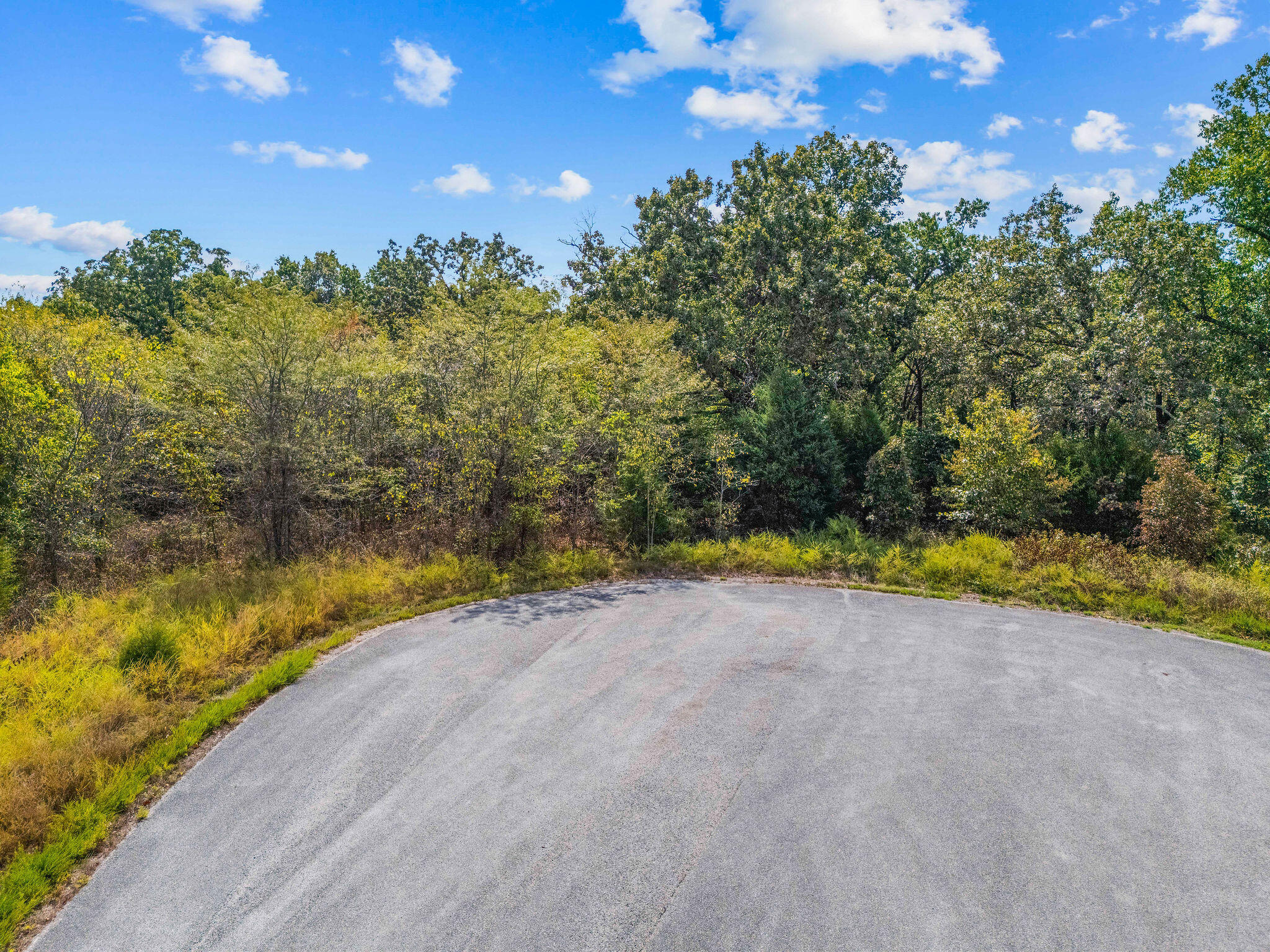 Photo 5 - Land for sale – 335  Swan Creek Pass   Forsyth, MO