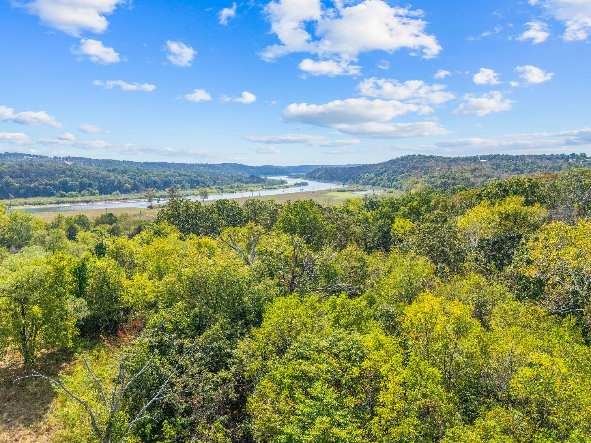 Photo 7 - Land for sale – 1861  Oremus Road  Forsyth, MO