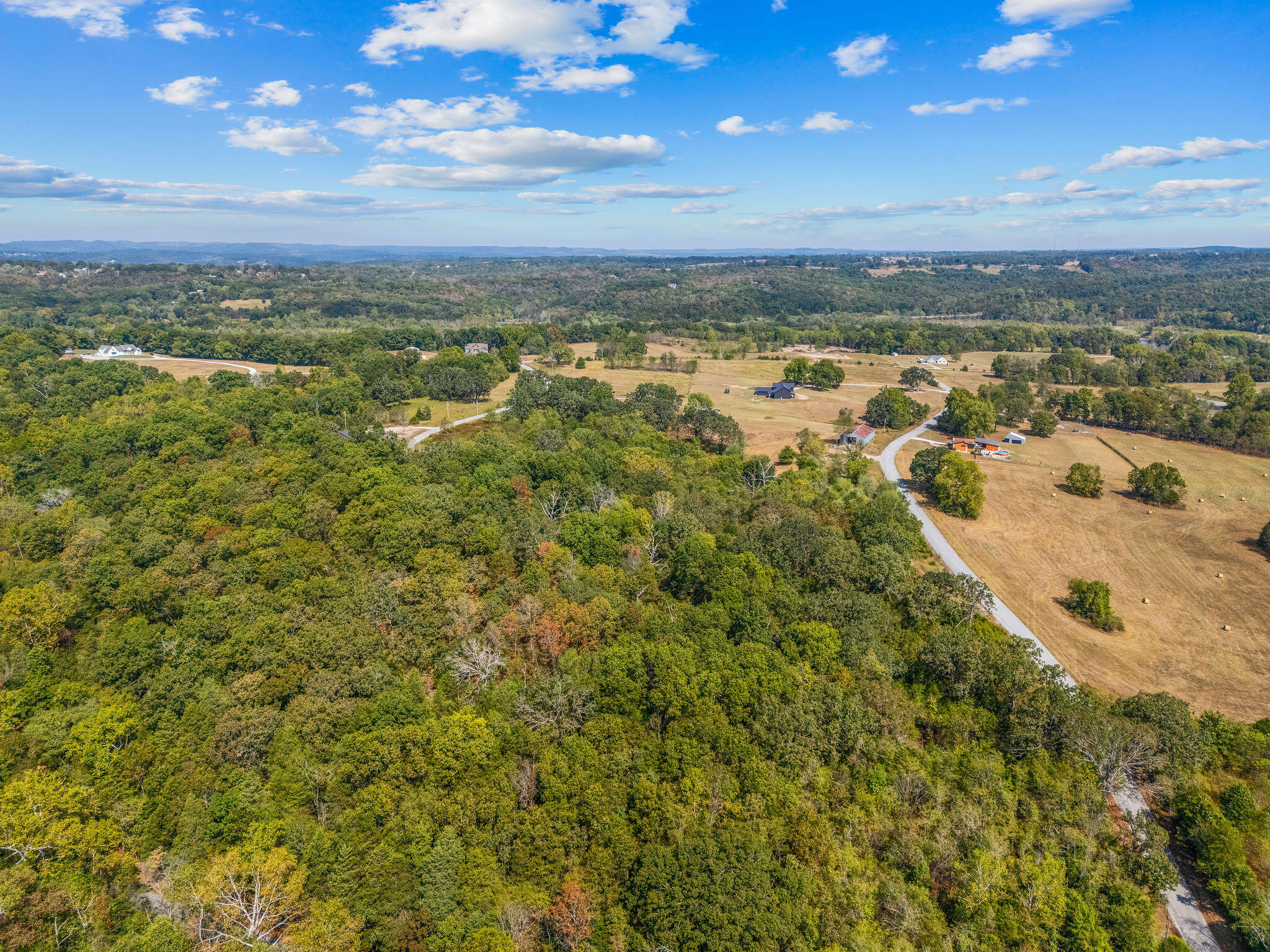 Photo 4 - Land for sale – 1861  Oremus Road  Forsyth, MO
