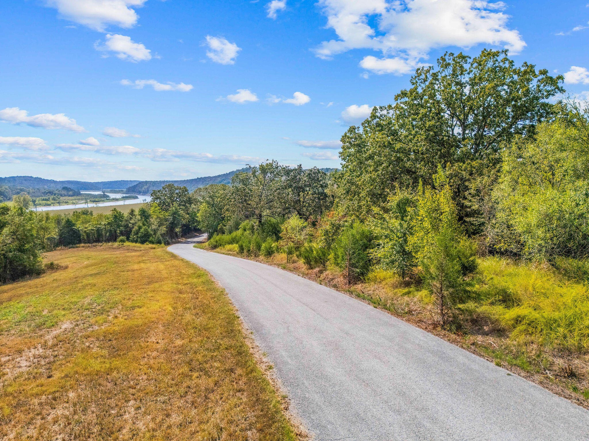 Photo 5 - Land for sale – 1861  Oremus Road  Forsyth, MO