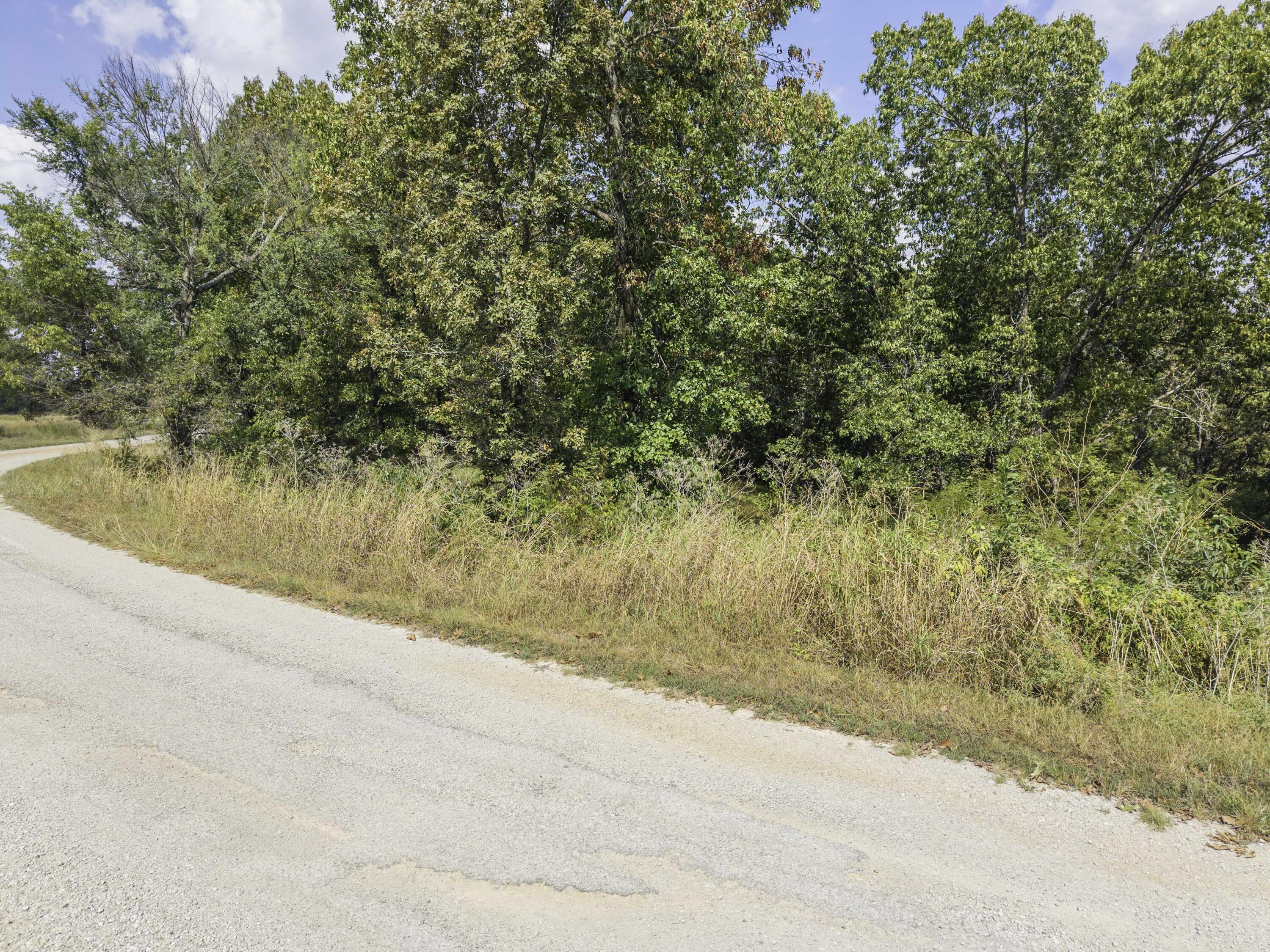 Photo 25 - Land for sale – Lot 39& 40  Regal Heights Lane   Galena, MO