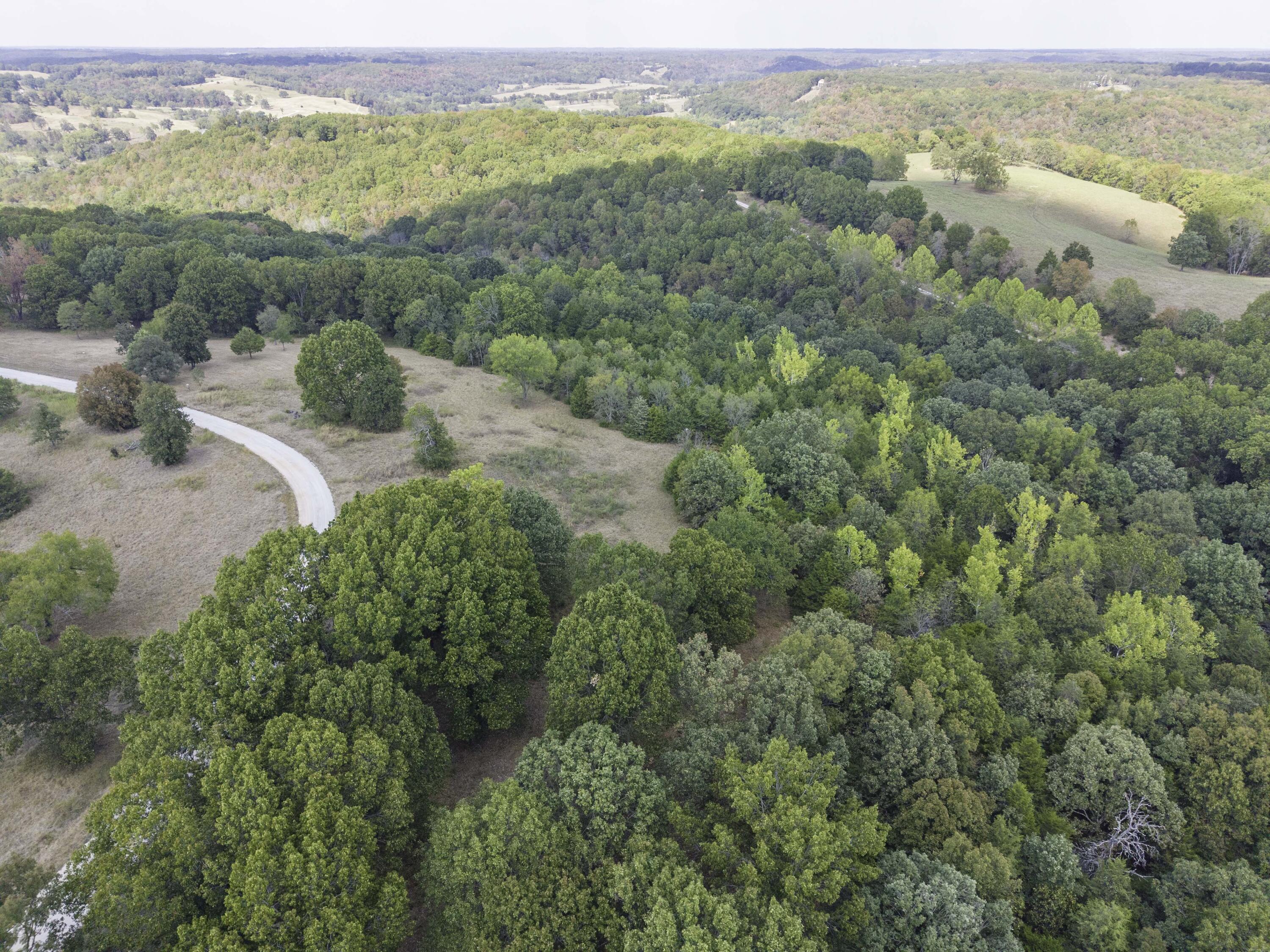 Photo 11 - Land for sale – Lot 39& 40  Regal Heights Lane   Galena, MO