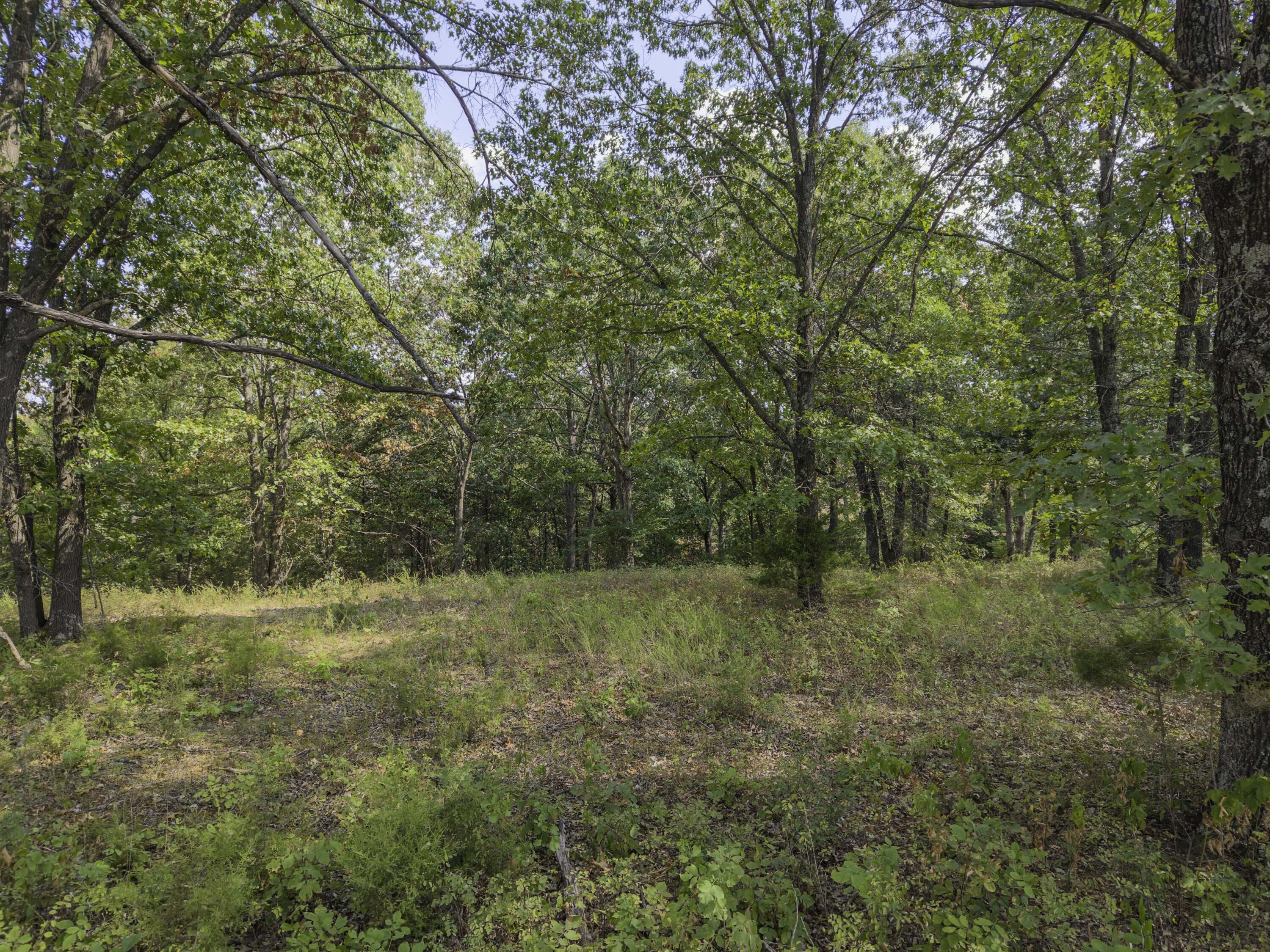 Photo 33 - Land for sale – Lot 39& 40  Regal Heights Lane   Galena, MO