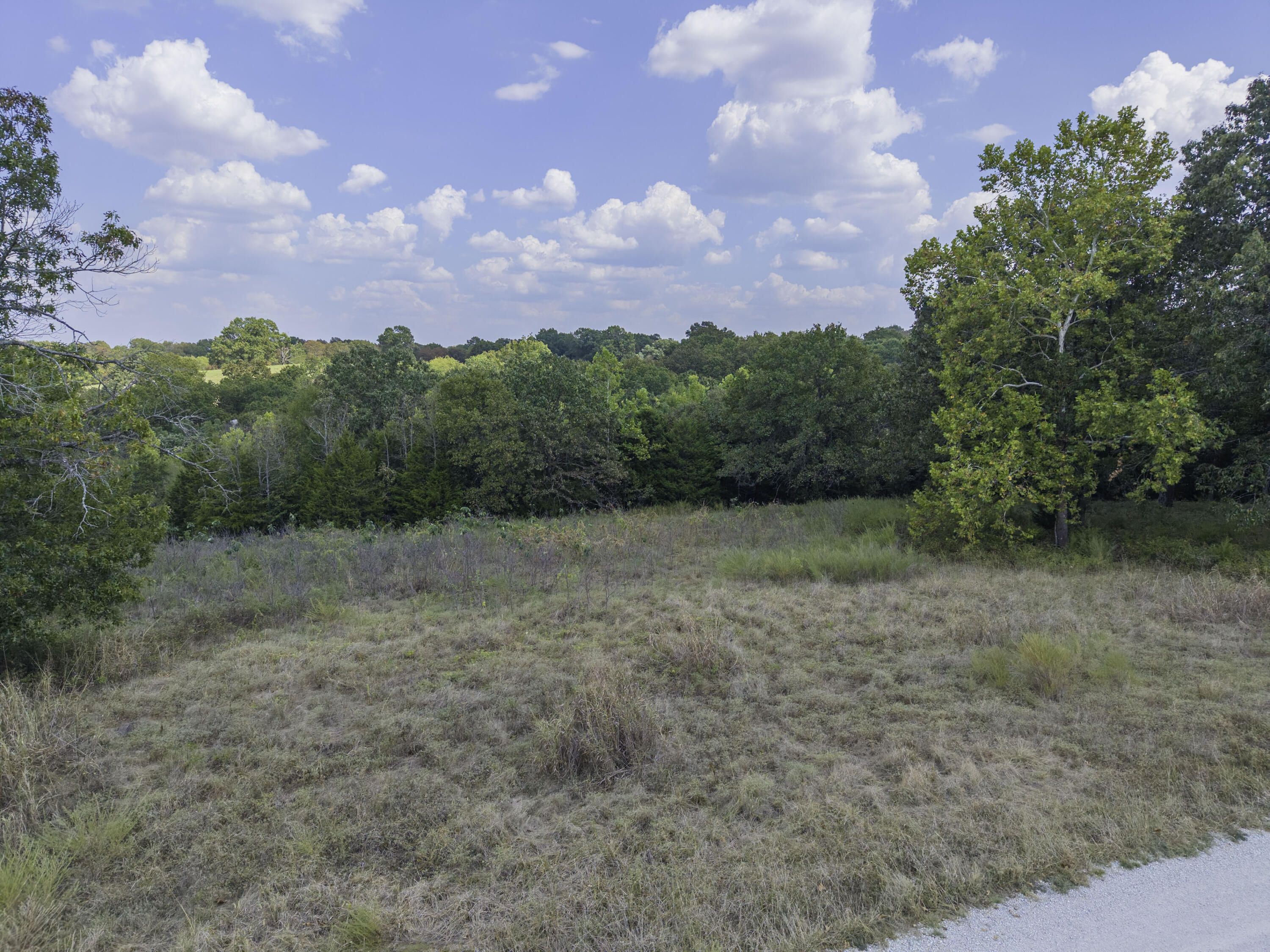 Photo 5 - Land for sale – Lot 39& 40  Regal Heights Lane   Galena, MO