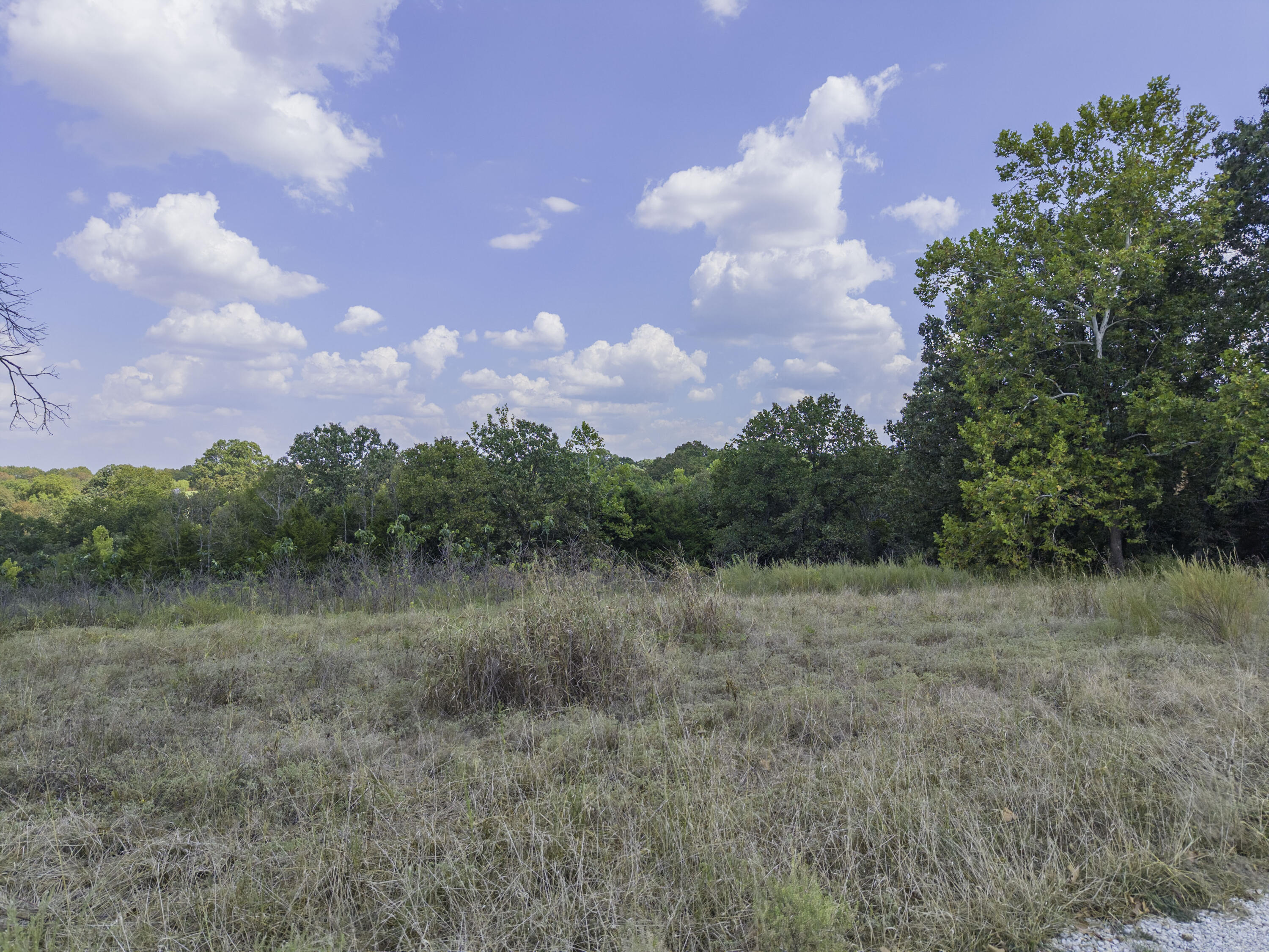 Photo 4 - Land for sale – Lot 39& 40  Regal Heights Lane   Galena, MO