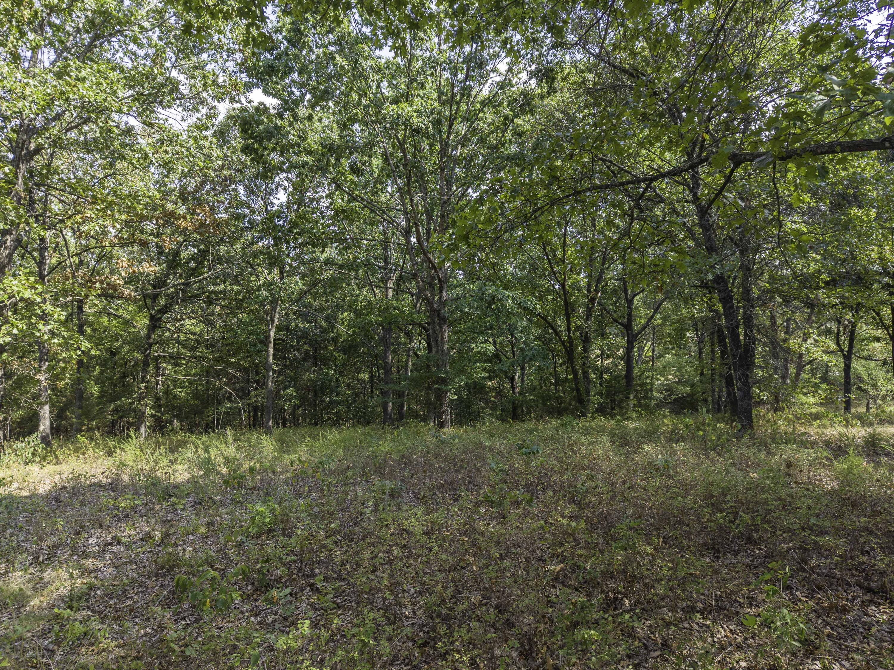 Photo 34 - Land for sale – Lot 39& 40  Regal Heights Lane   Galena, MO