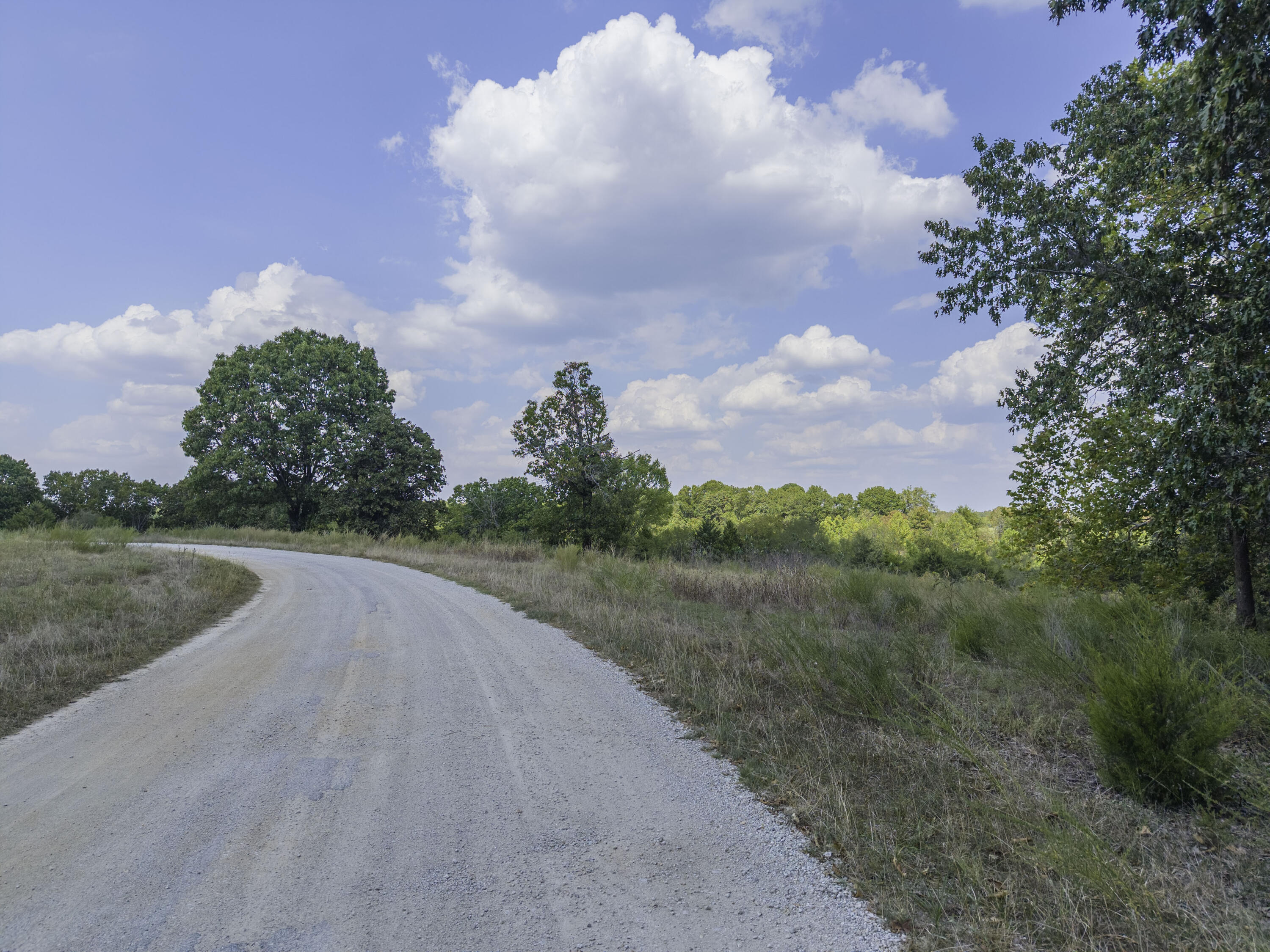 Photo 2 - Land for sale – Lot 39& 40  Regal Heights Lane   Galena, MO