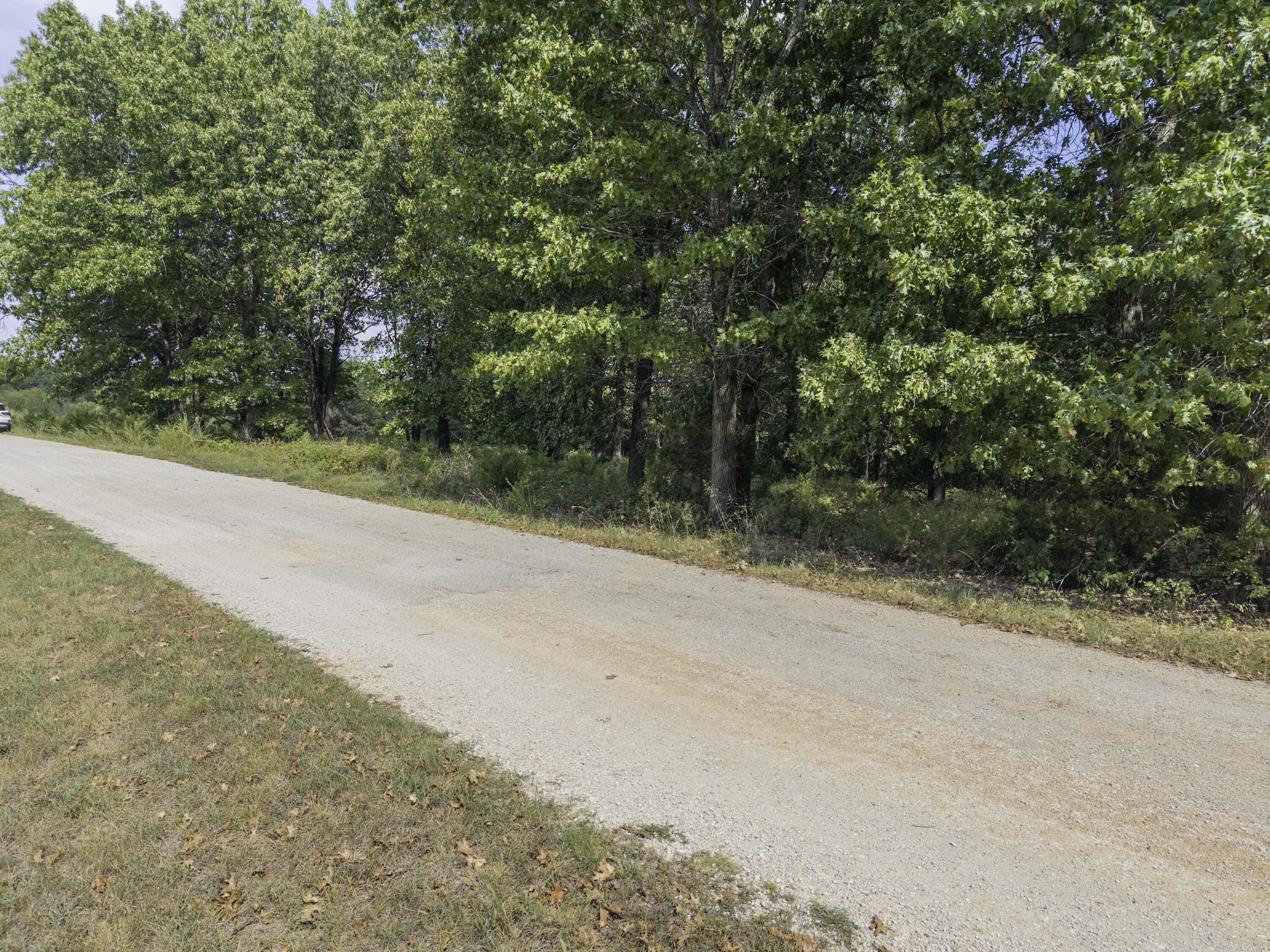 Photo 23 - Land for sale – Lot 39& 40  Regal Heights Lane   Galena, MO