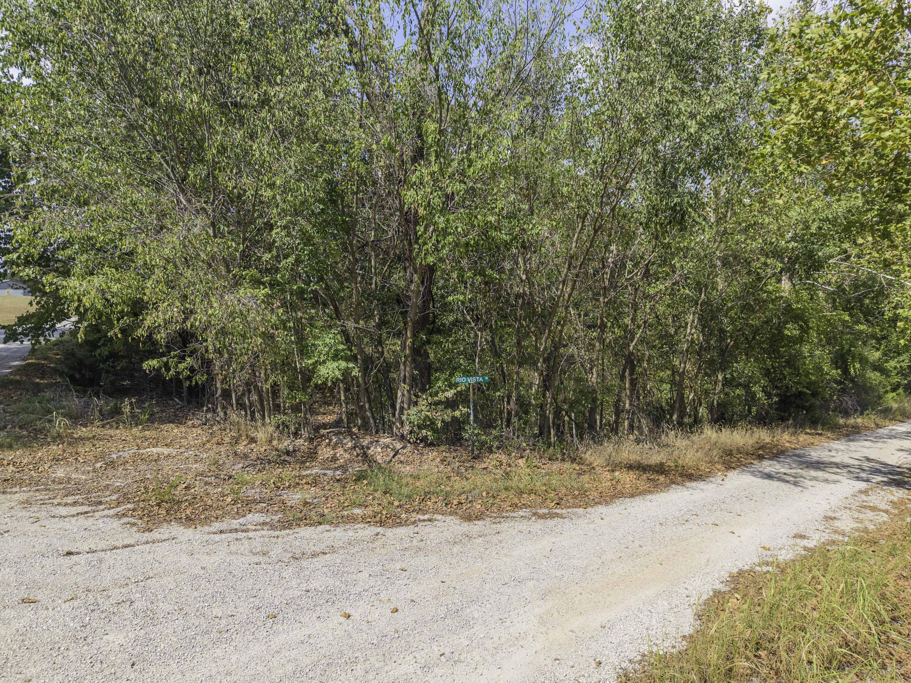 Photo 27 - Land for sale – Lot 39& 40  Regal Heights Lane   Galena, MO