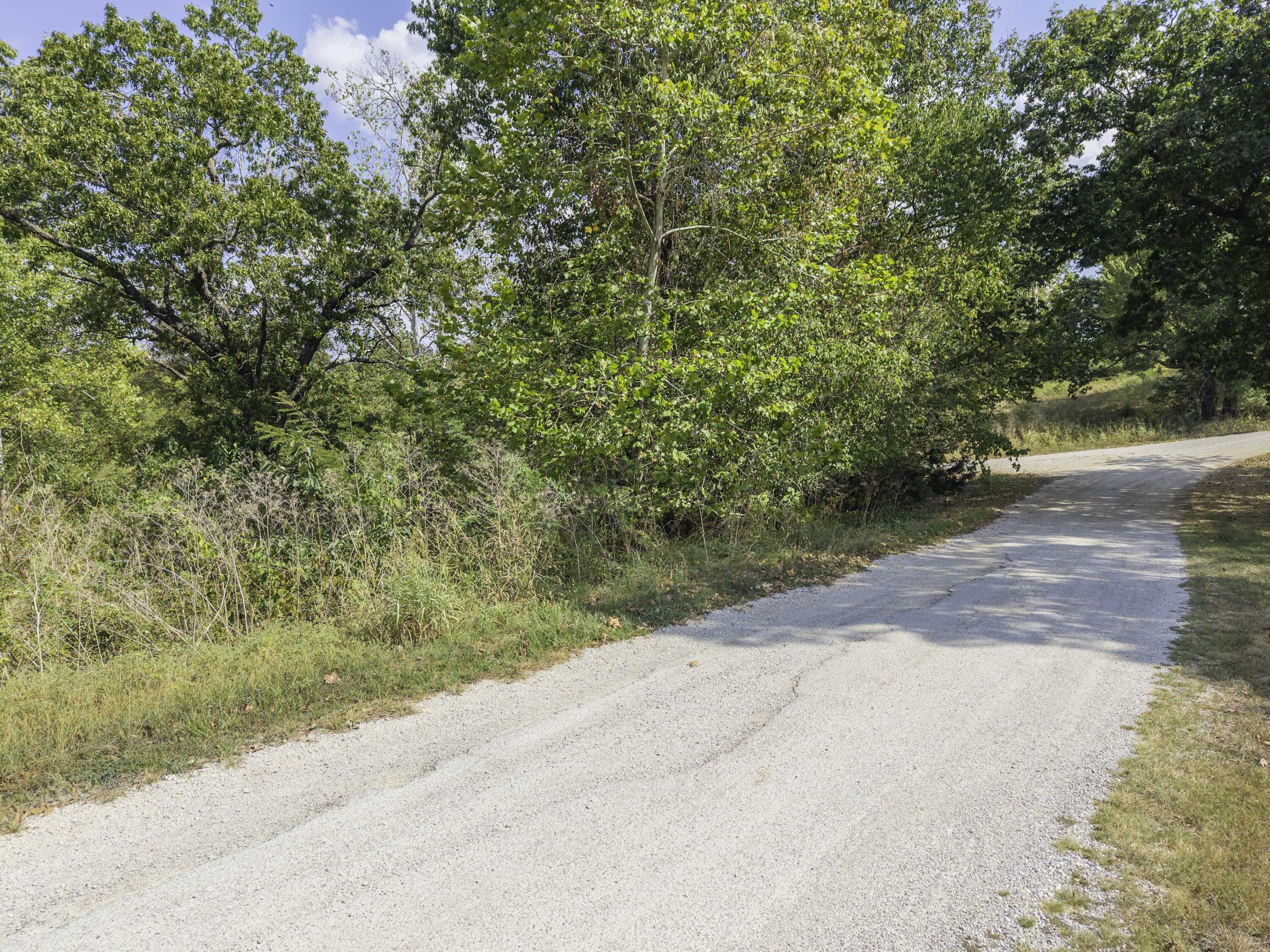 Photo 24 - Land for sale – Lot 39& 40  Regal Heights Lane   Galena, MO