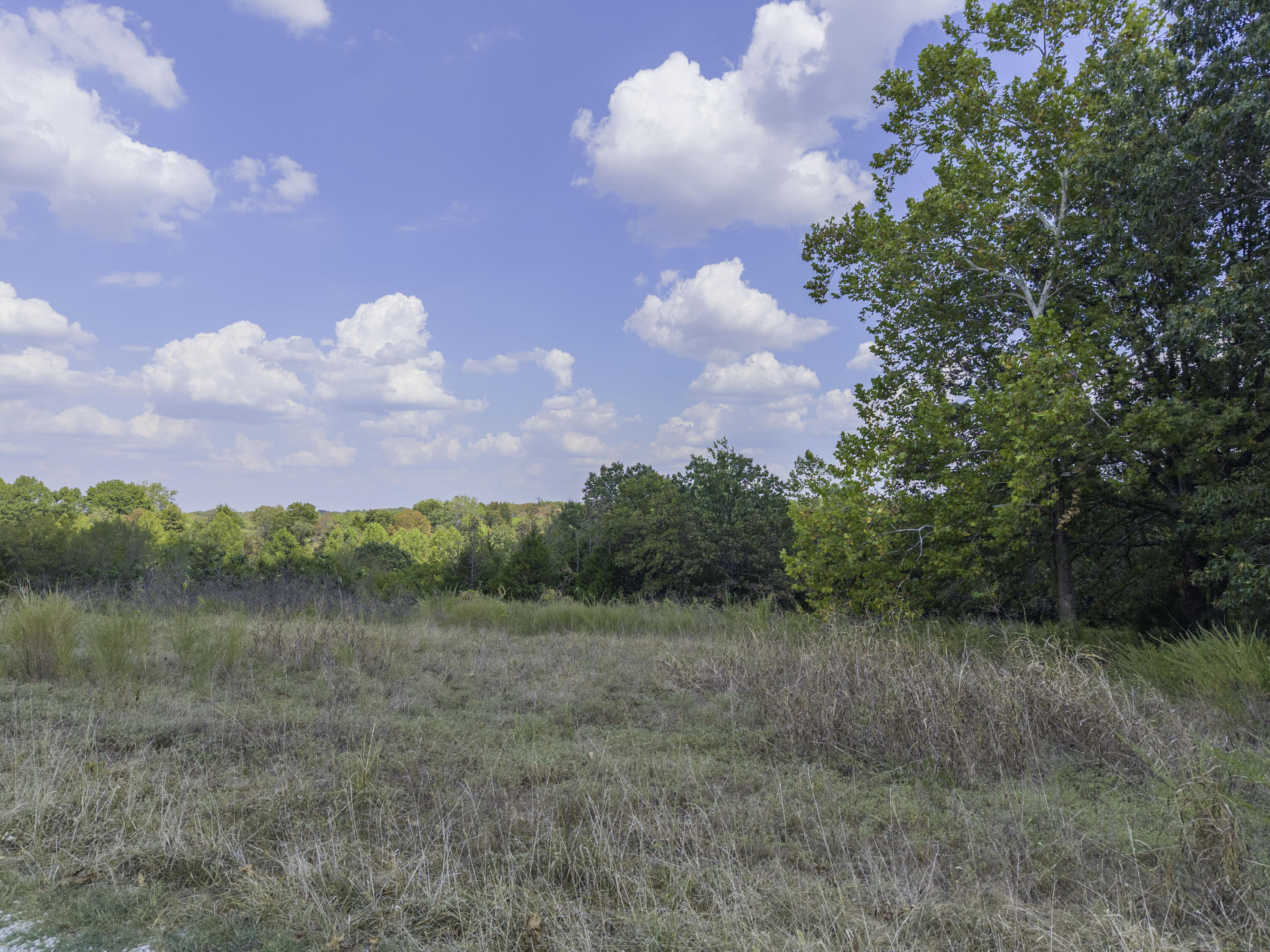 Photo 3 - Land for sale – Lot 39& 40  Regal Heights Lane   Galena, MO