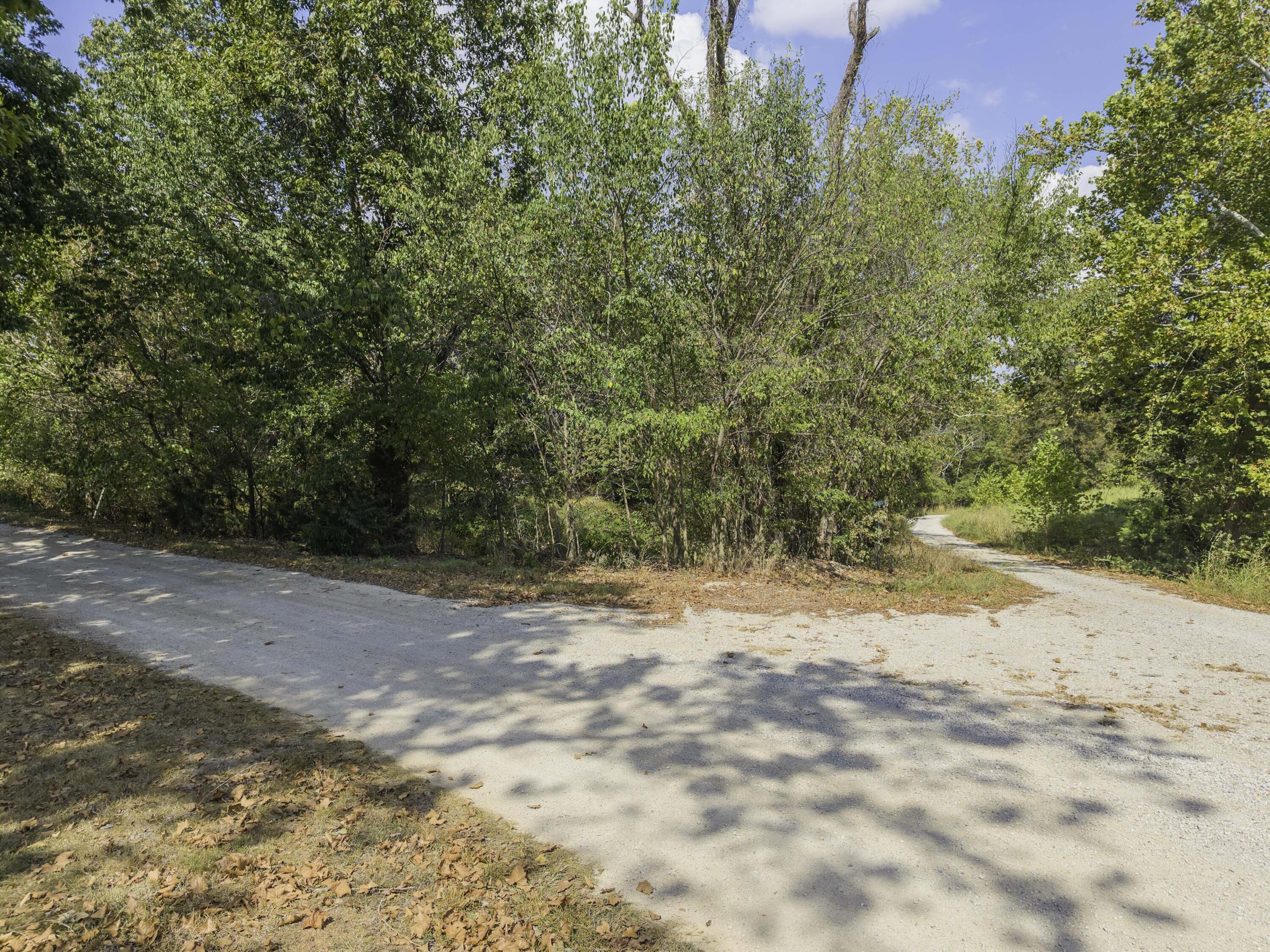 Photo 26 - Land for sale – Lot 39& 40  Regal Heights Lane   Galena, MO