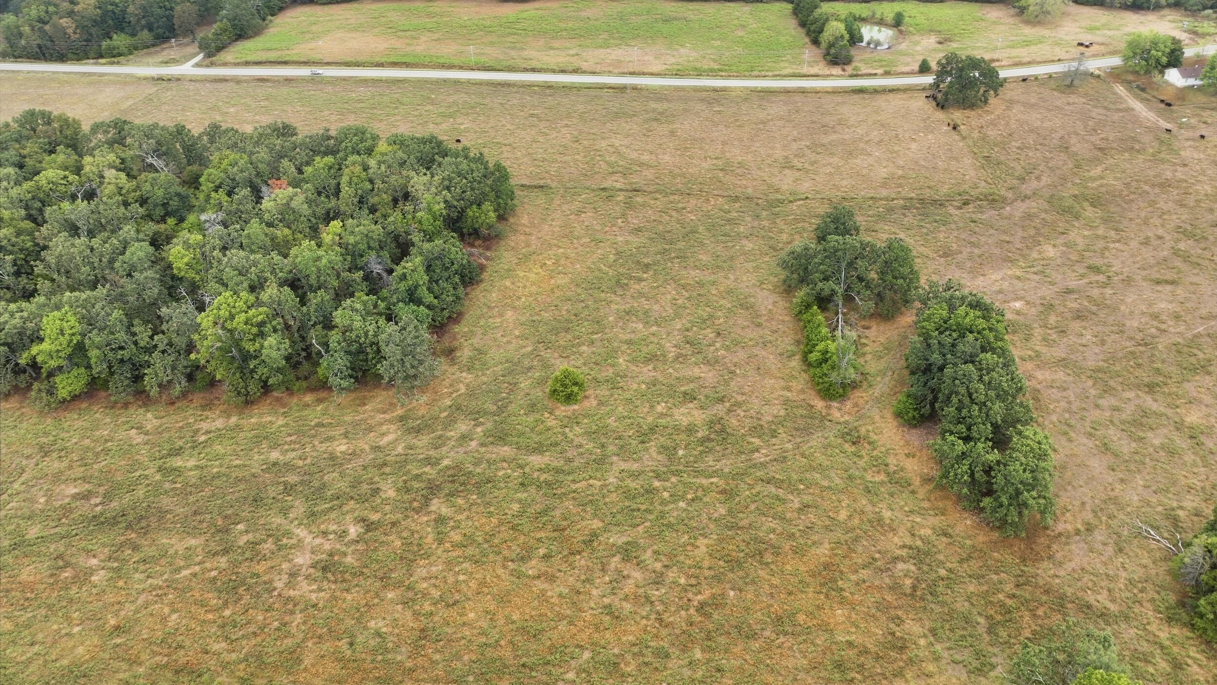 Photo 12 - Farm for sale – 17108  Highway B   Houston, MO