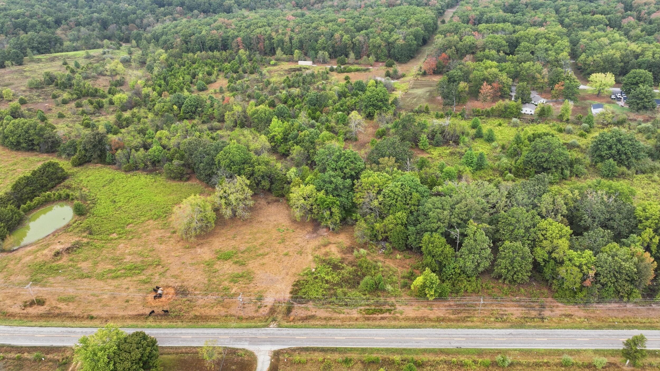 Photo 6 - Farm for sale – 17108  Highway B   Houston, MO
