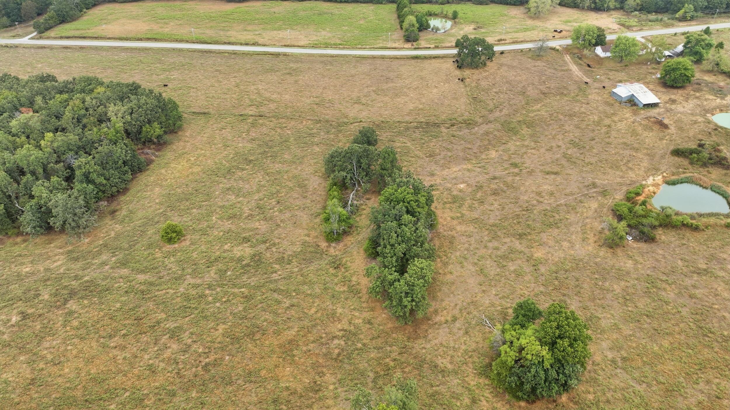 Photo 11 - Farm for sale – 17108  Highway B   Houston, MO