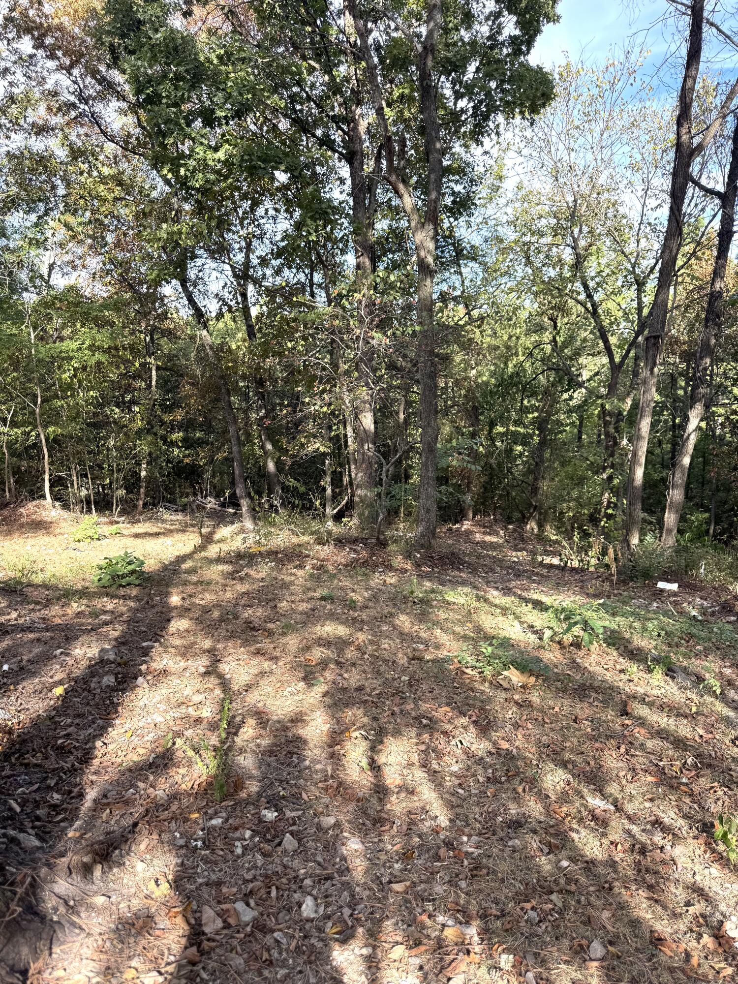 Photo 10 - Residential for sale – 7127  State Hwyi 13   Lampe, MO