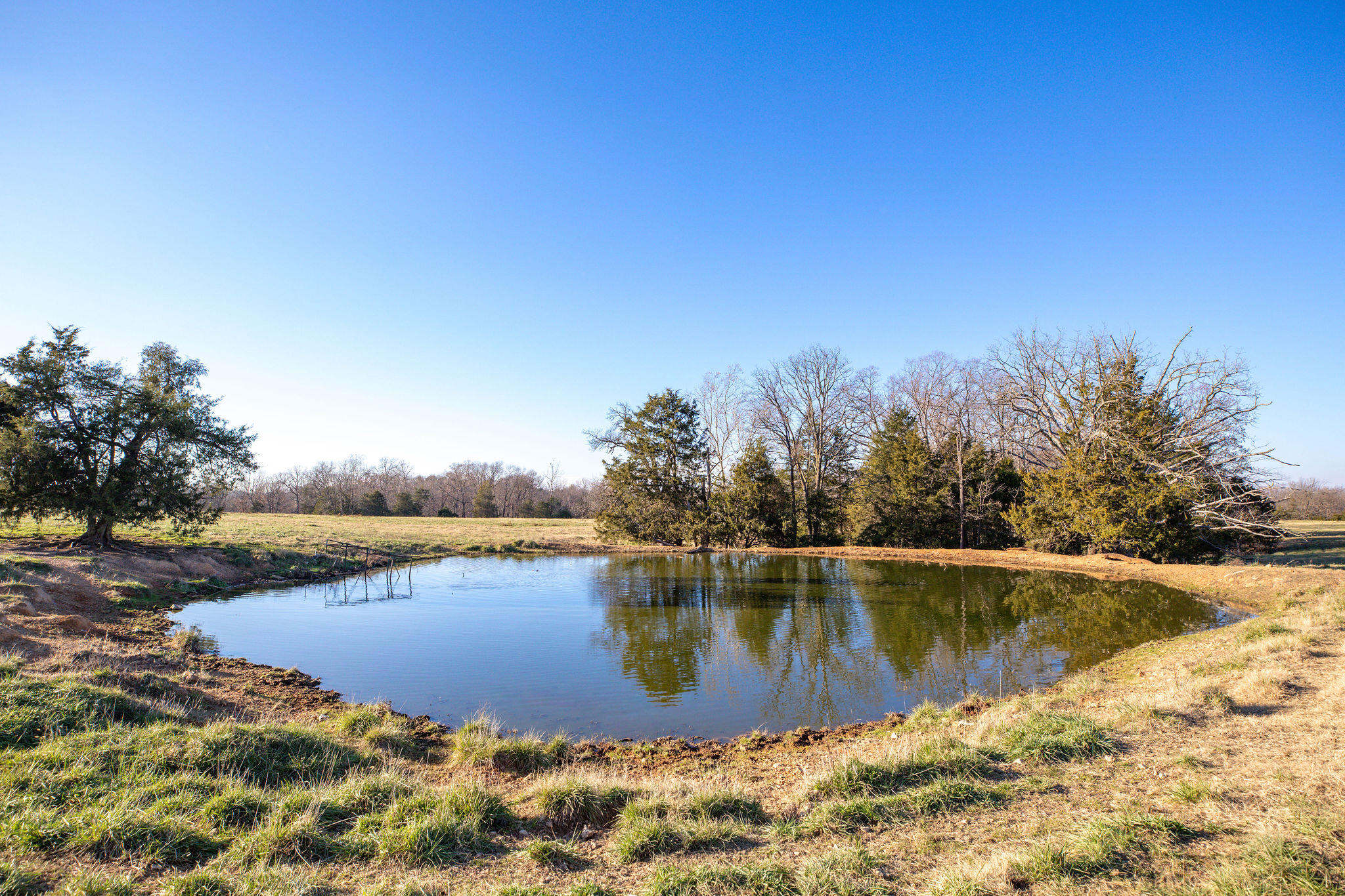 Photo 10 - Farm for sale – Tbd  111 Acres County Road 433   Oak Grove, AR