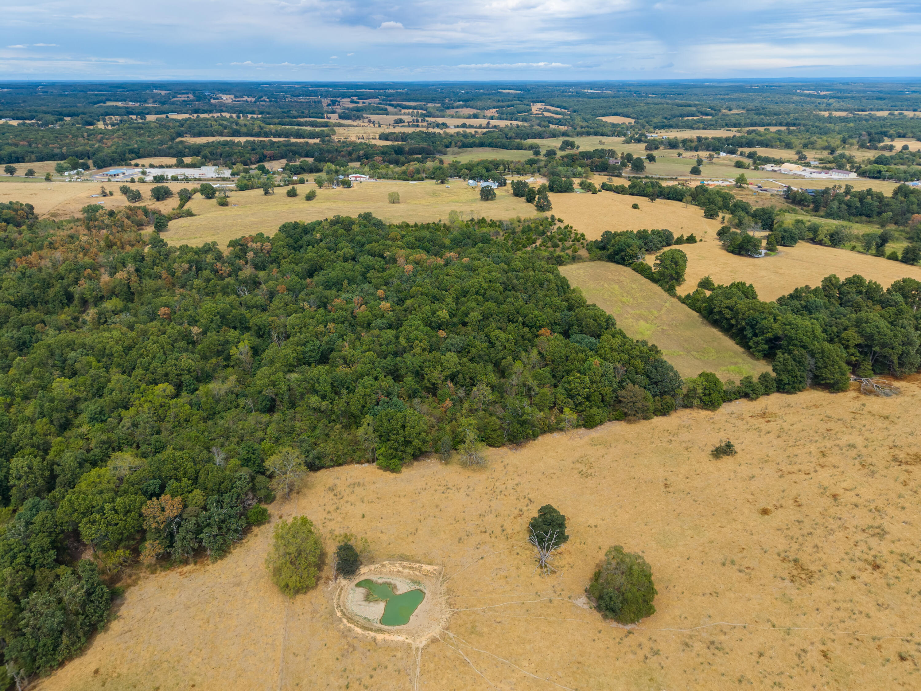 Photo 4 - Land for sale – 000  Highway 5   Hartville, MO