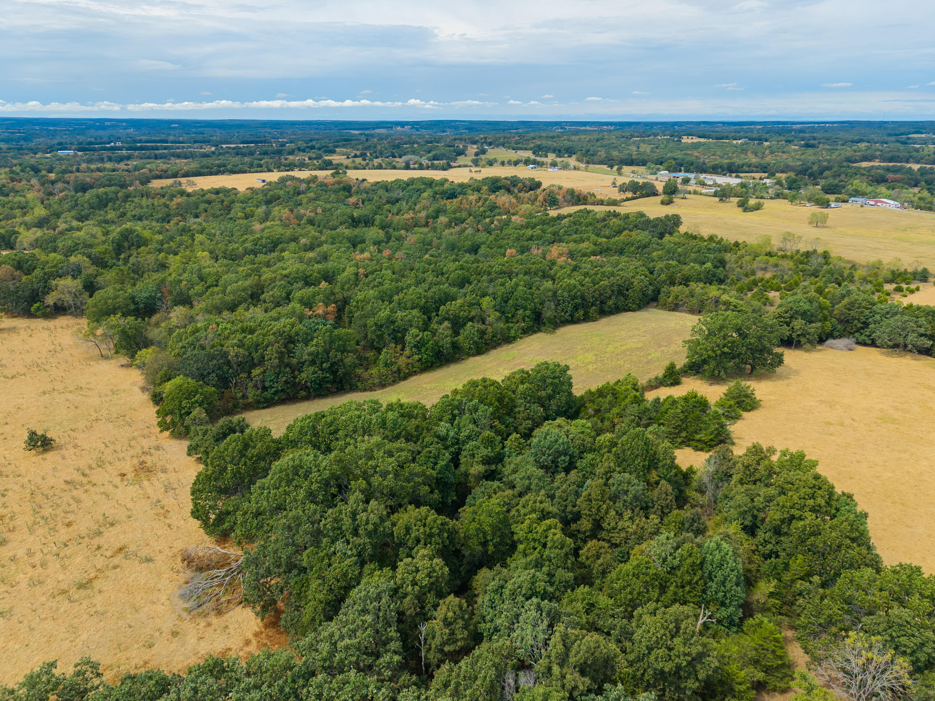 Photo 3 - Land for sale – 000  Highway 5   Hartville, MO
