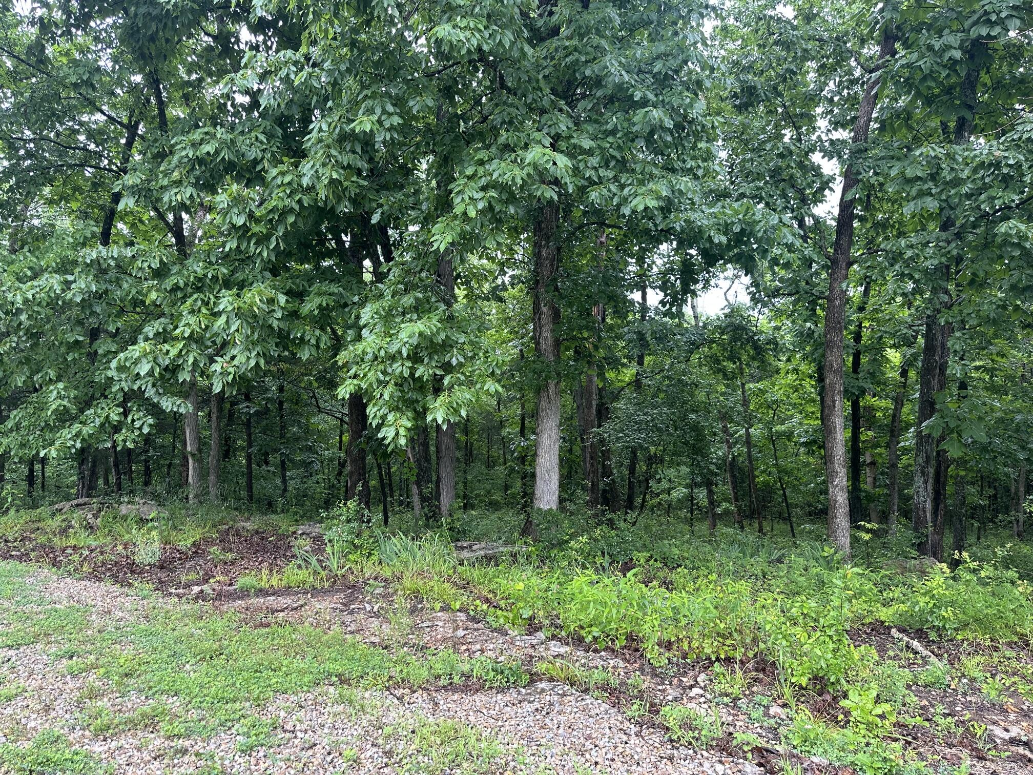 Photo 30 - Residential for sale – 18611  Farm Road 2107   Aurora, MO