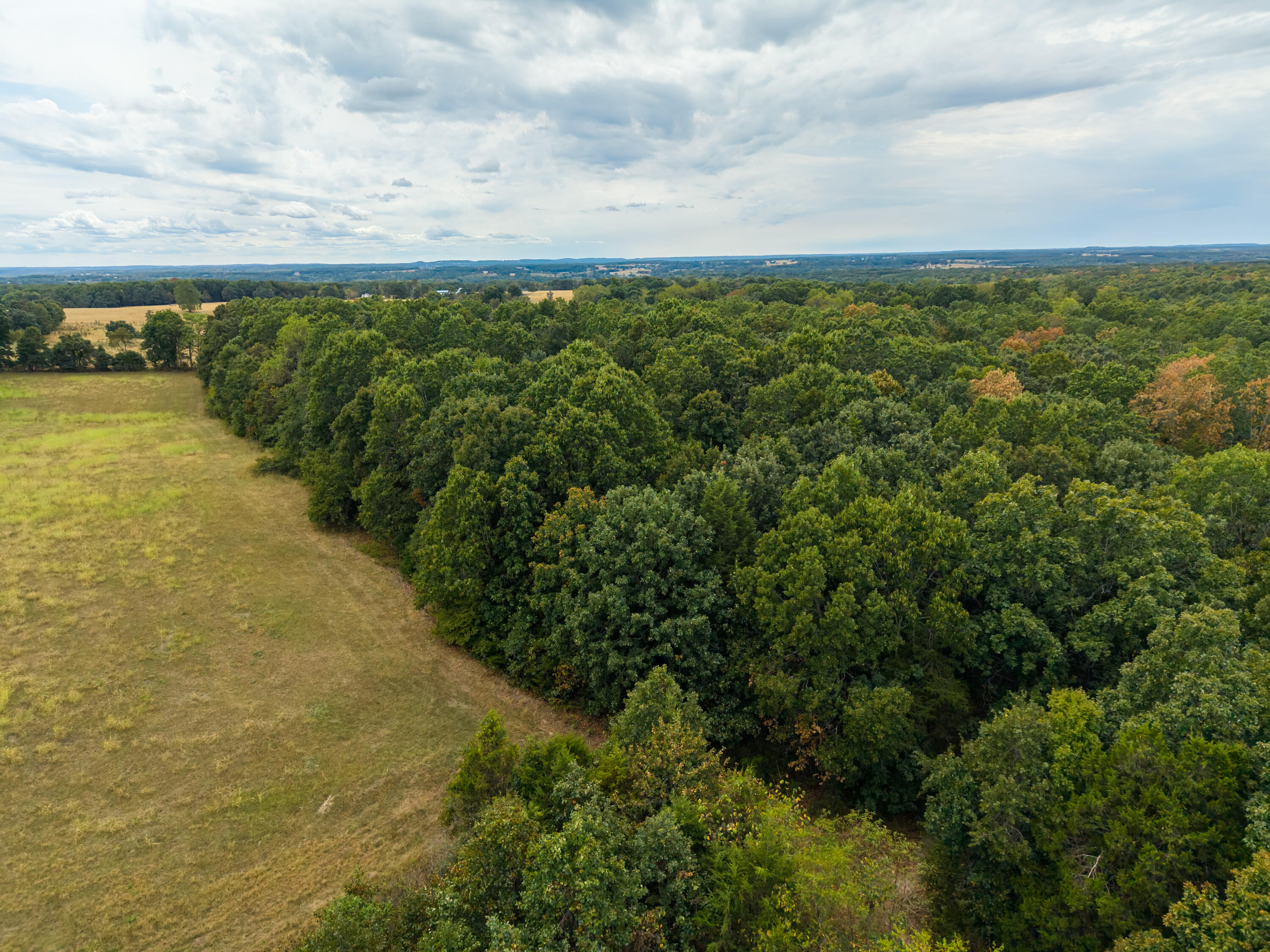 Photo 14 - Land for sale – 000  Highway 5   Hartville, MO