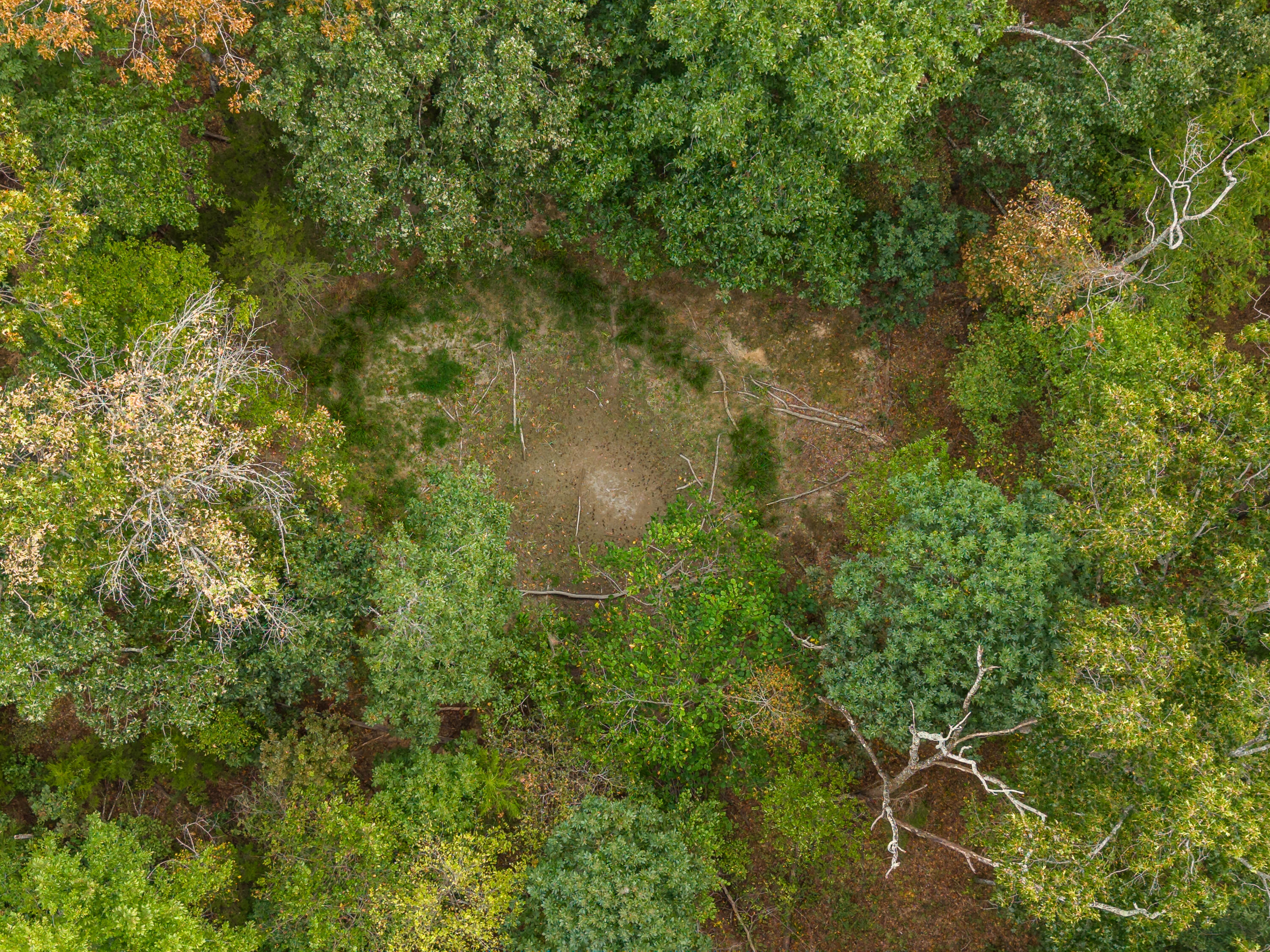 Photo 10 - Land for sale – 000  Highway 5   Hartville, MO