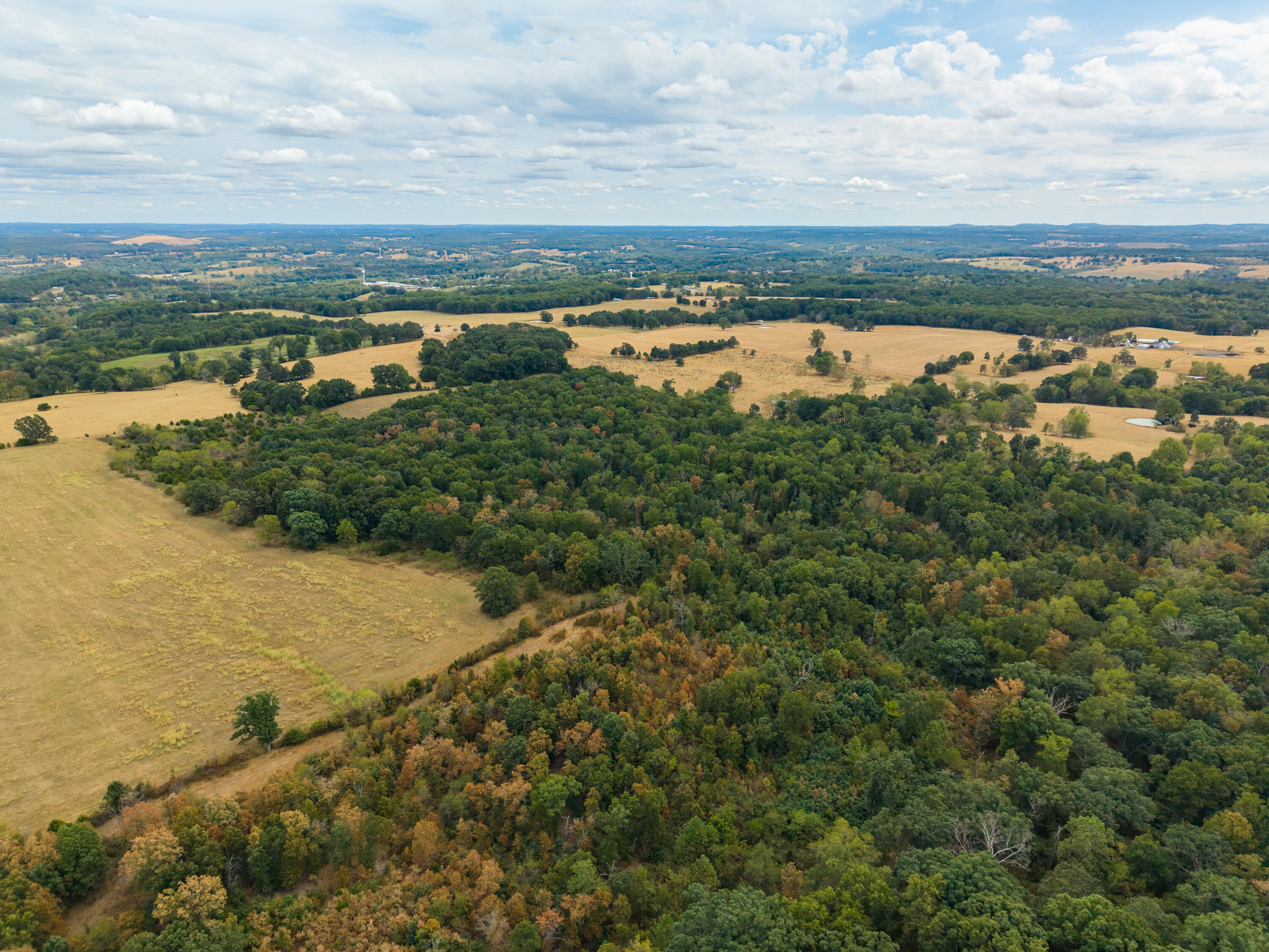 Photo 7 - Land for sale – 000  Highway 5   Hartville, MO