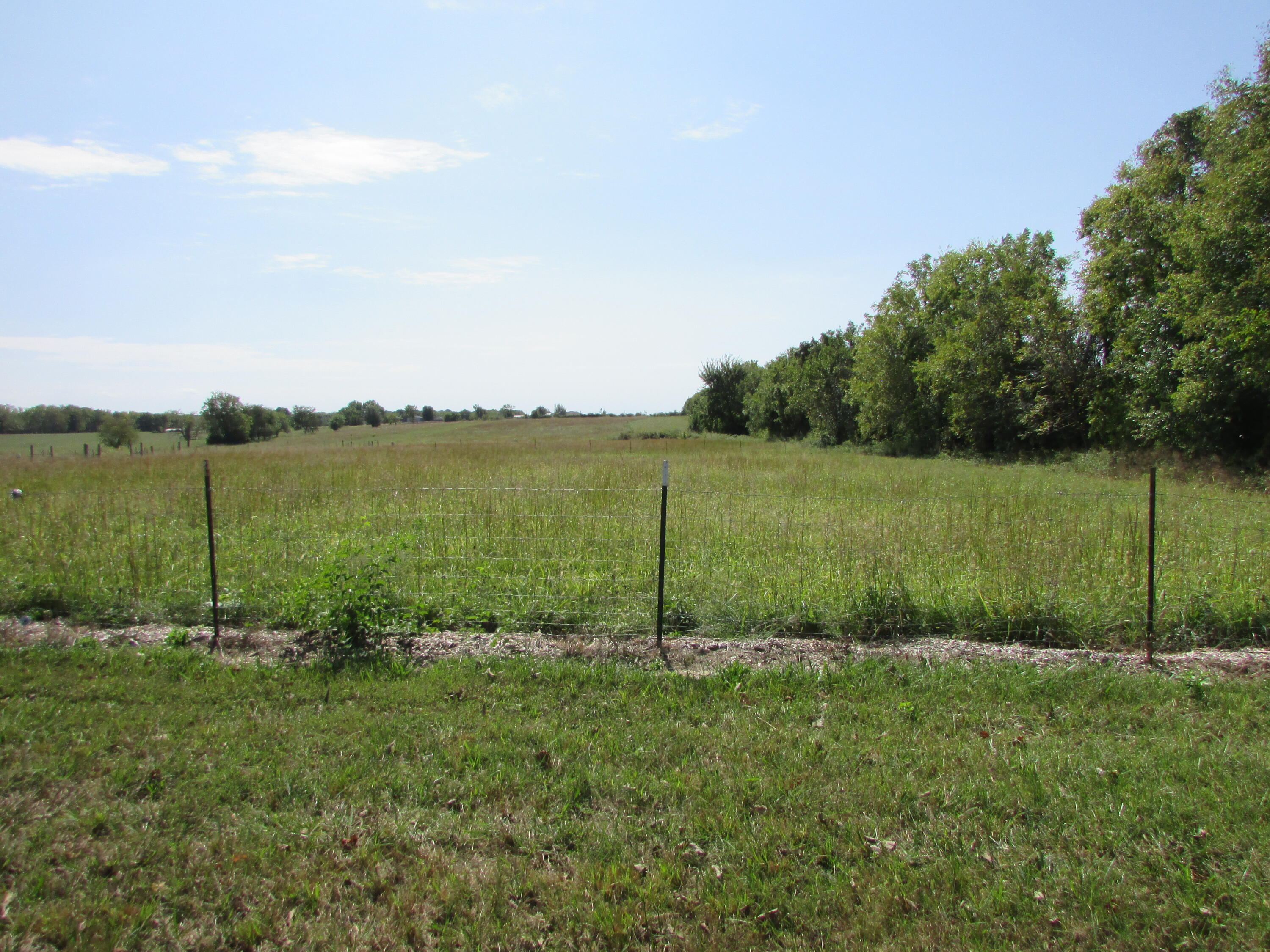 Photo 3 - Land for sale – 3140 E Hines Street  Republic, MO