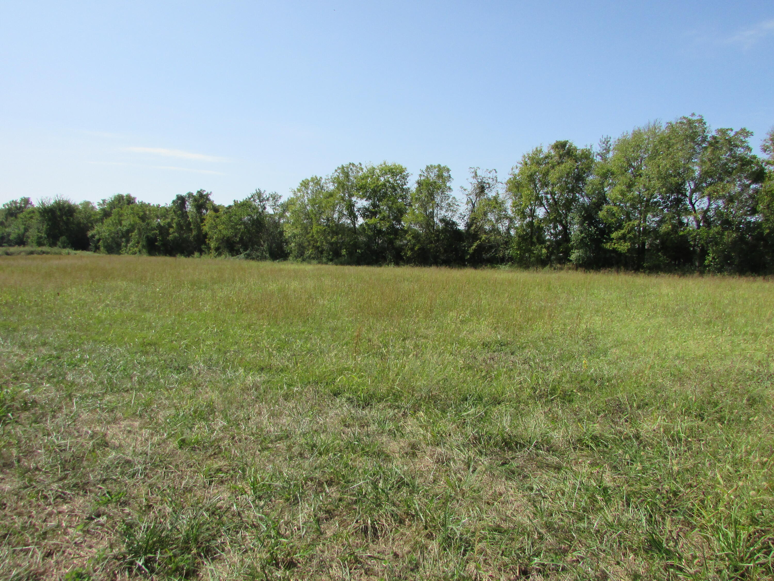 Photo 5 - Land for sale – 3140 E Hines Street  Republic, MO