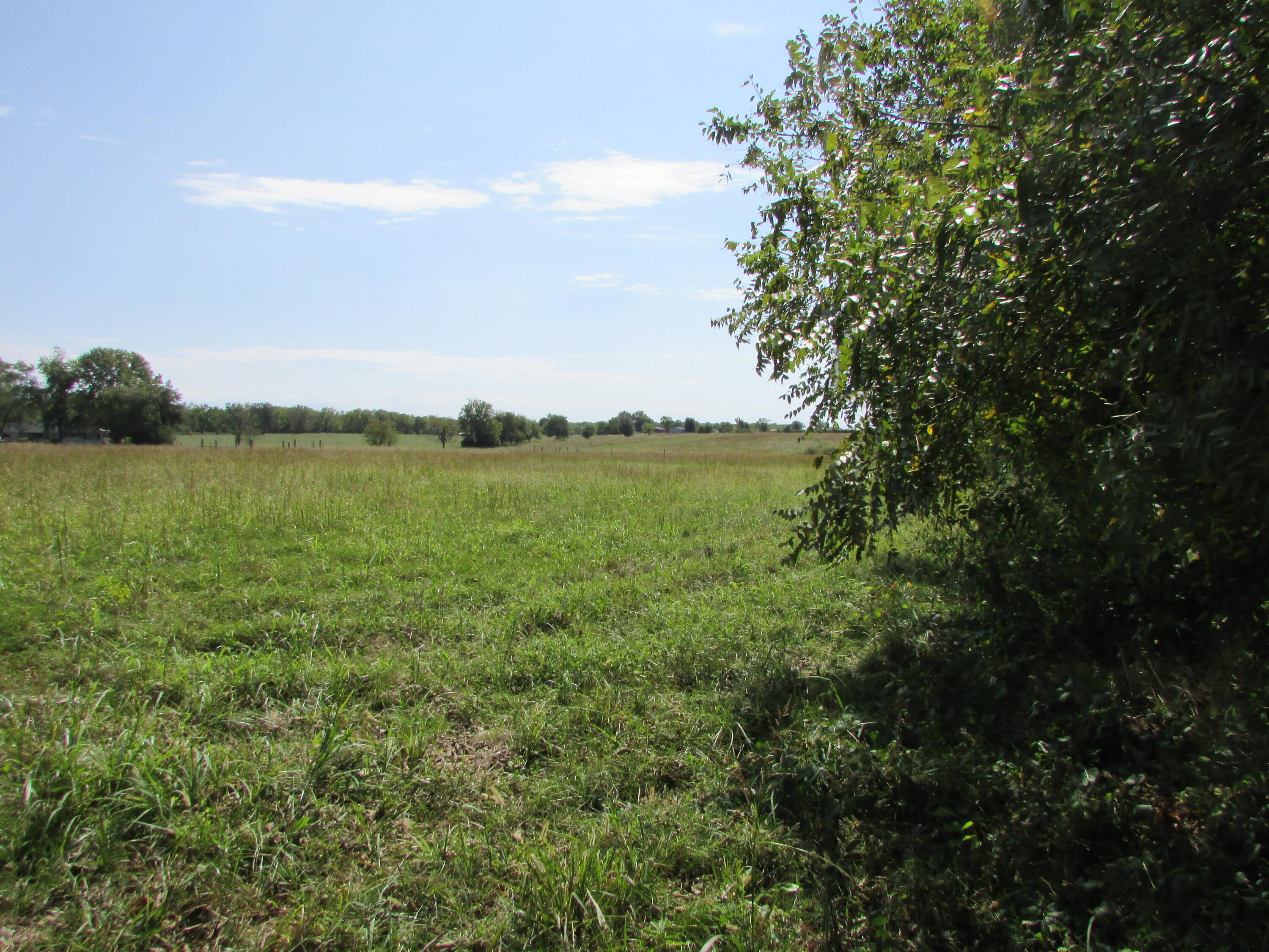 Photo 4 - Land for sale – 3140 E Hines Street  Republic, MO