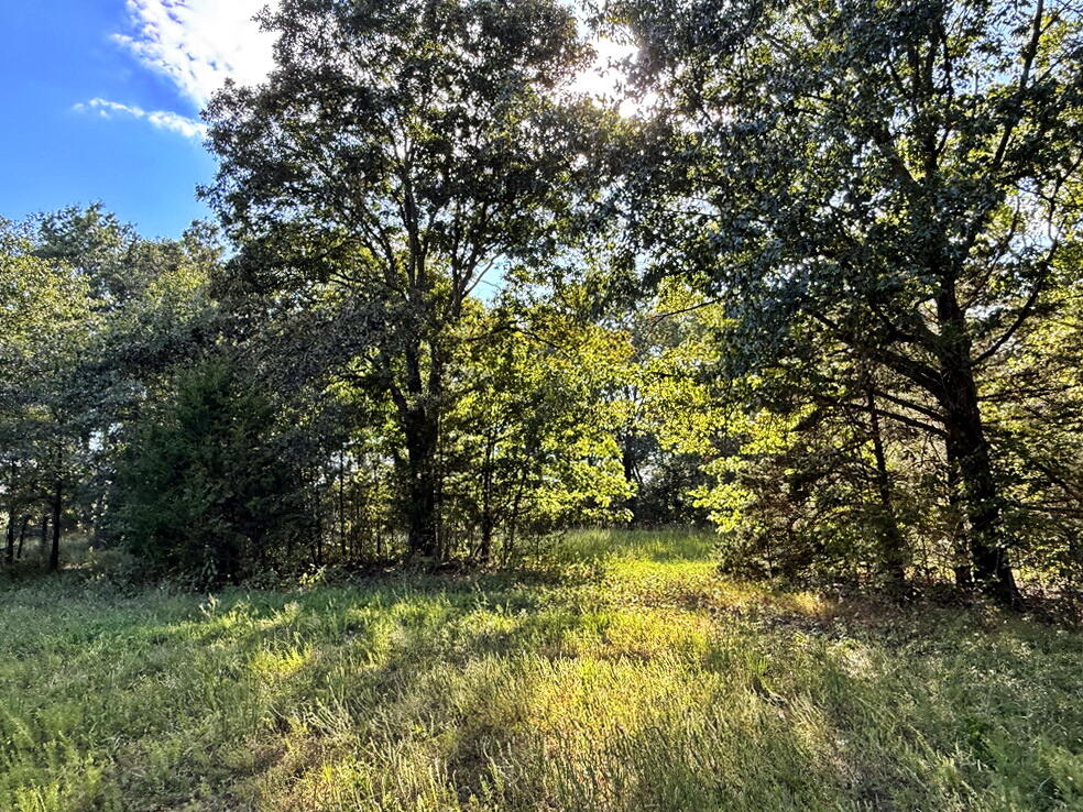 Photo 38 - Land for sale – 14188 S 3025 Road  El Dorado Springs, MO