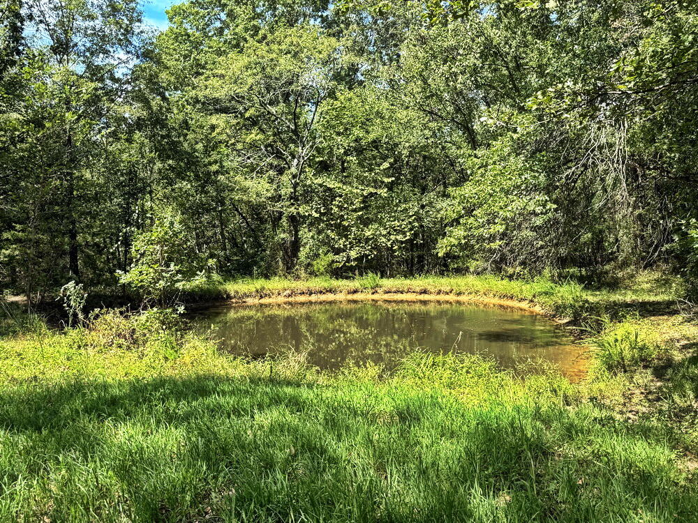 Photo 14 - Land for sale – 14188 S 3025 Road  El Dorado Springs, MO